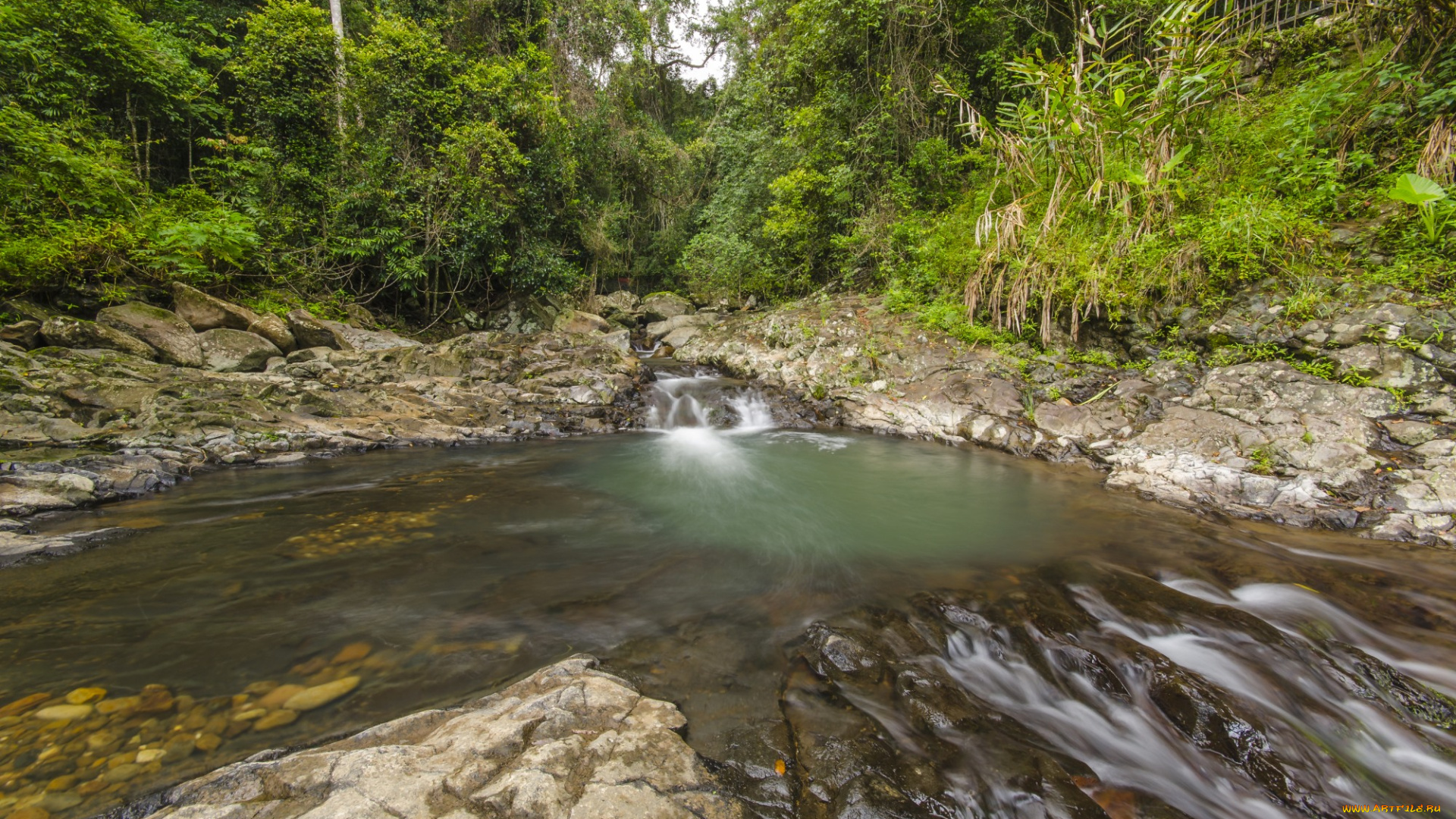 природа, реки, озера, река, лес