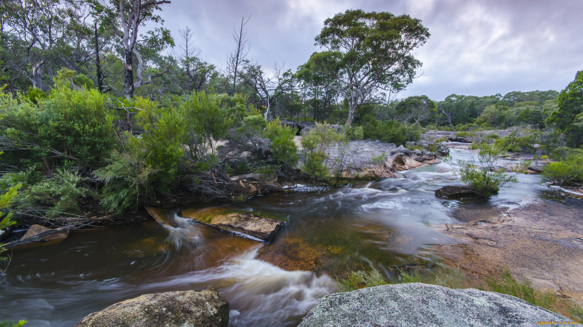 природа, реки, озера, река, лес