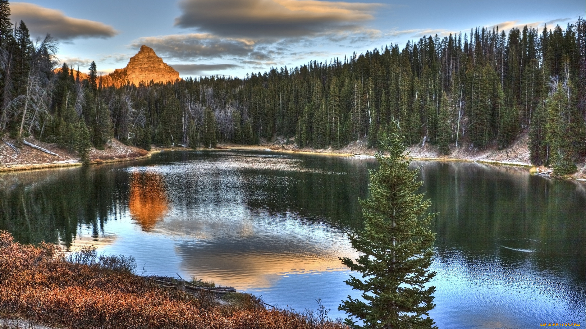 природа, реки, озера, река, лес, горы