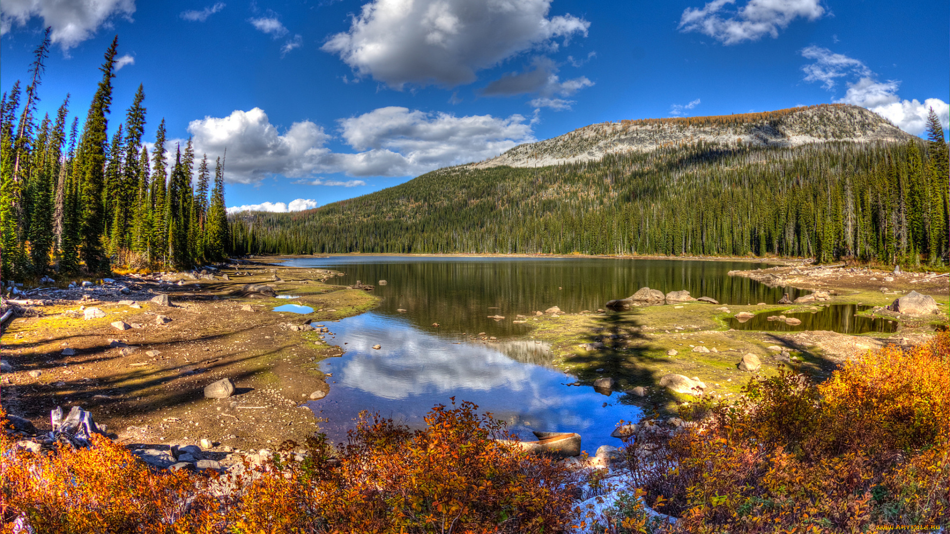 природа, реки, озера, река, лес, горы