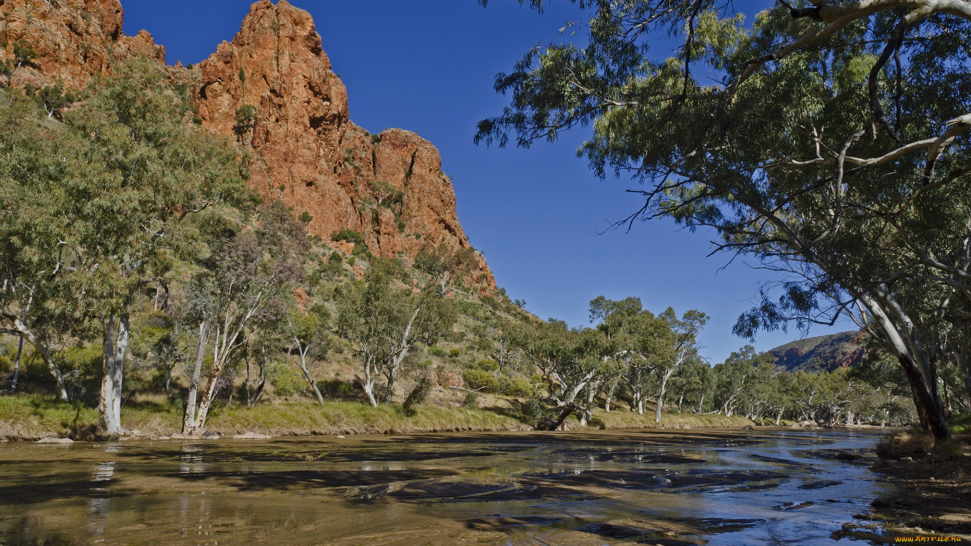 природа, реки, озера, река, лес, горы