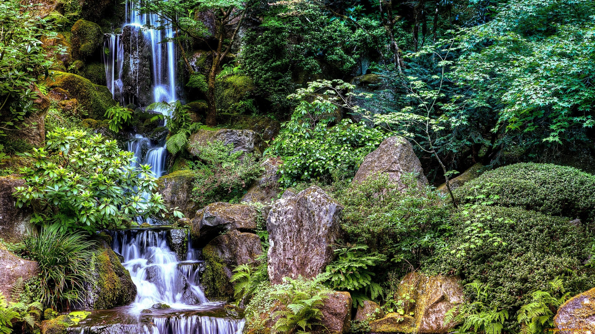 природа, водопады, лес, река, водопад