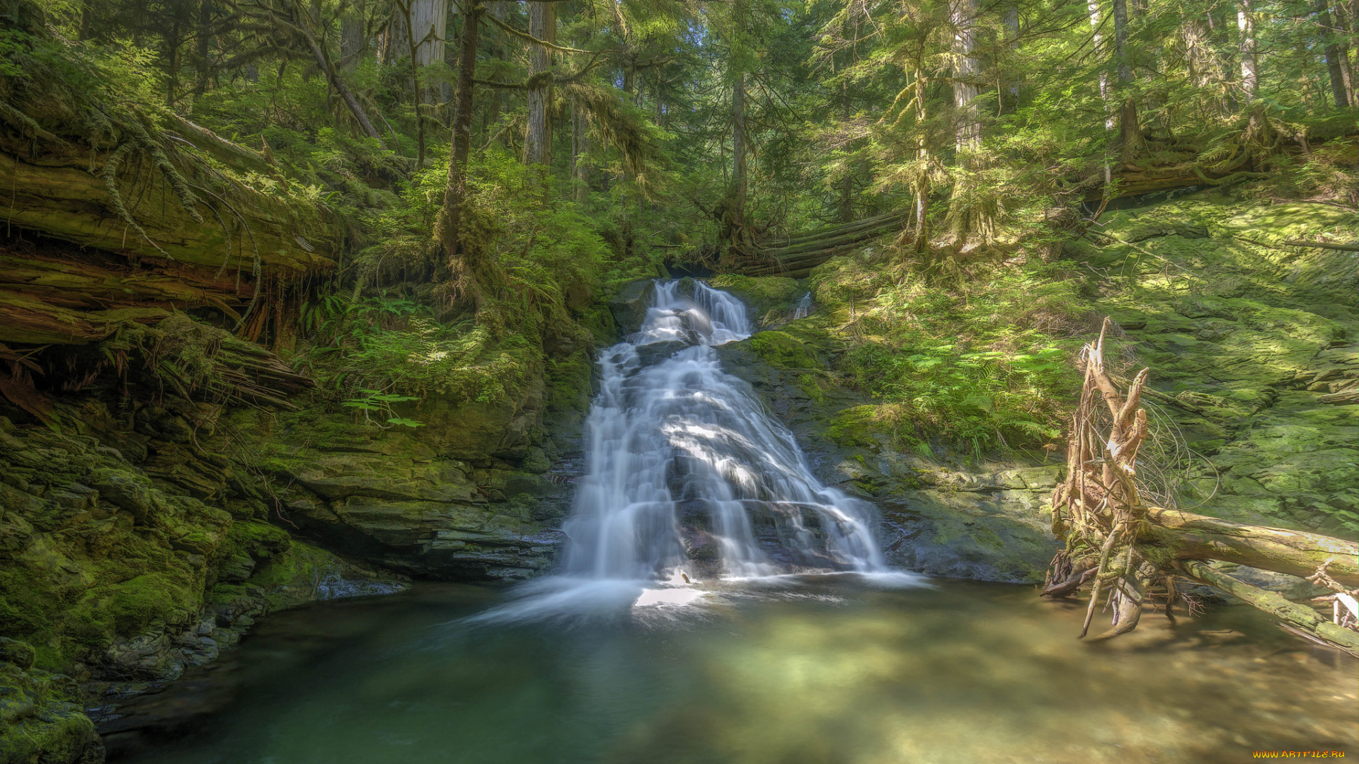 природа, водопады, лес, водопад, река