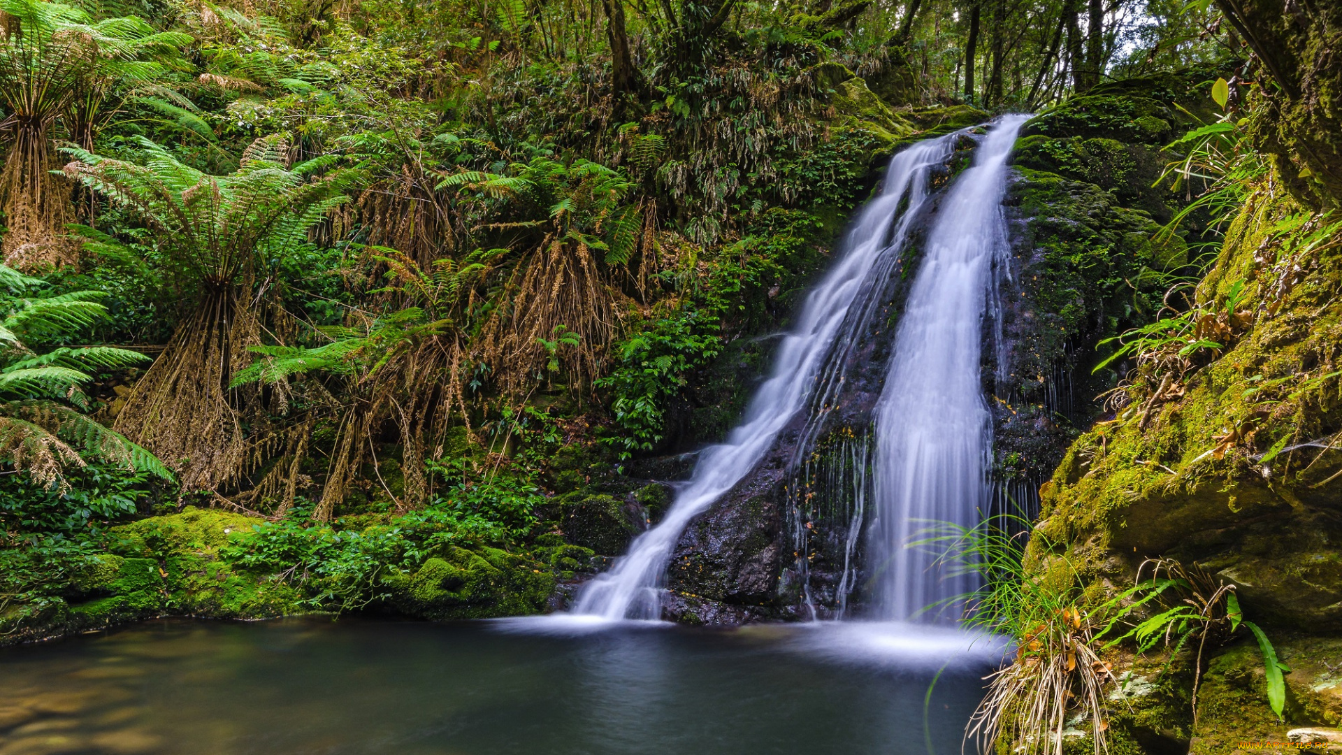 природа, водопады, водопад, лес, река