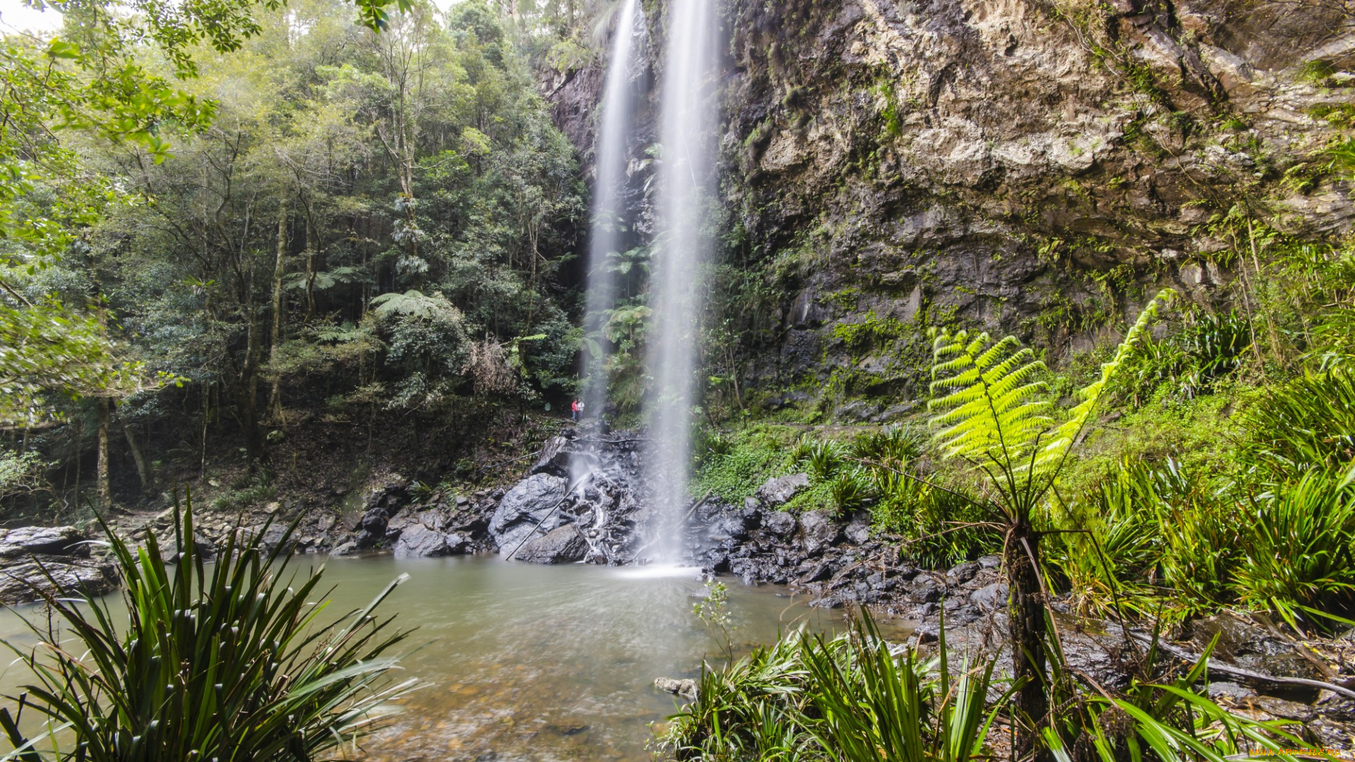 природа, водопады, водопад, лес, река