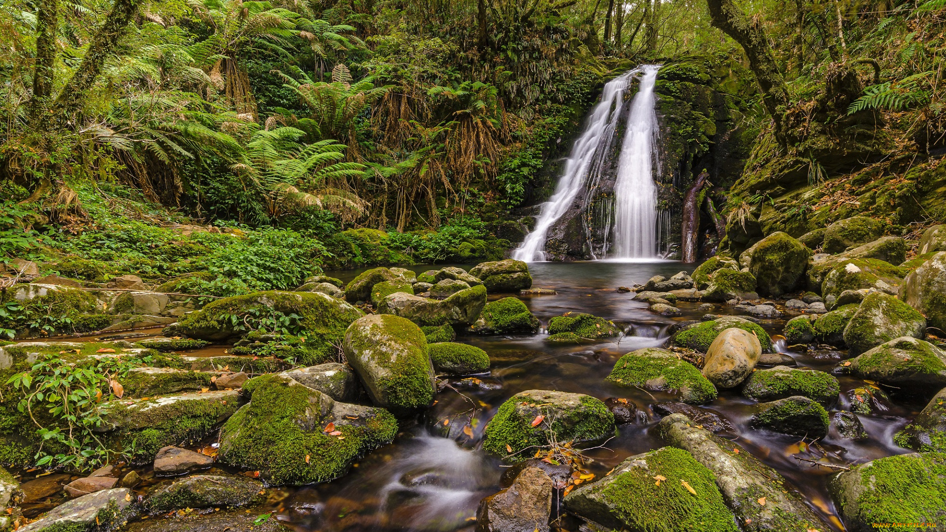 природа, водопады, водопад, река, лес