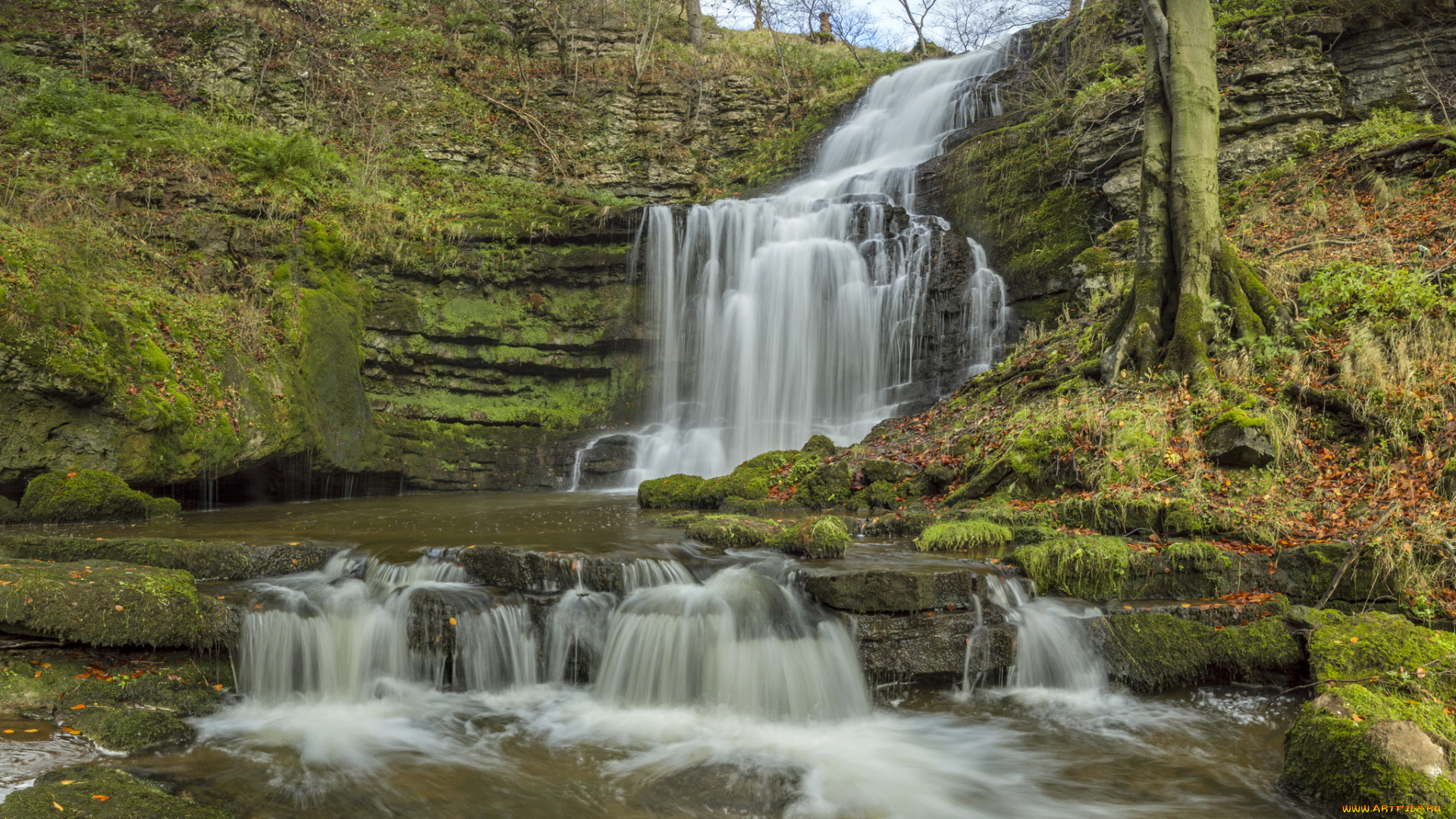 природа, водопады, водопад, река, лес