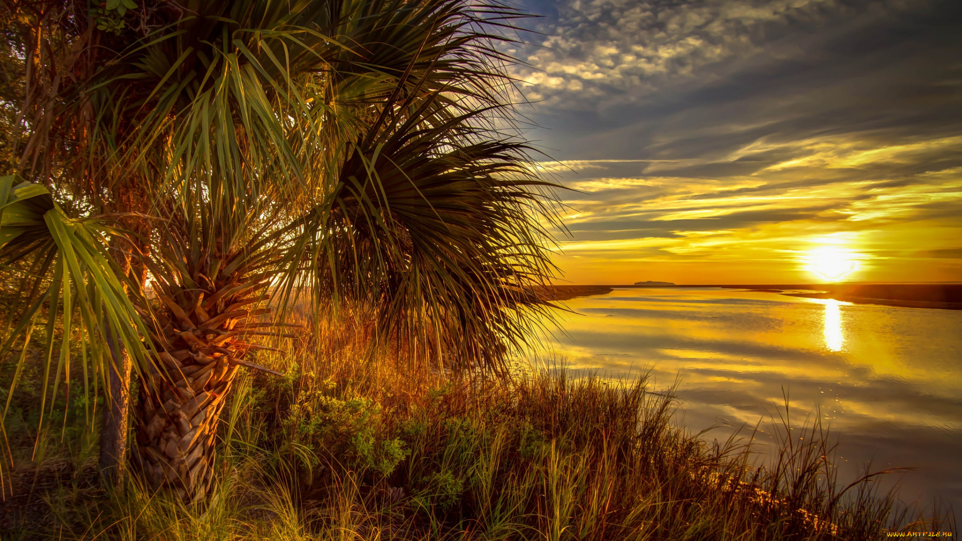 природа, восходы, закаты, заря, солнце