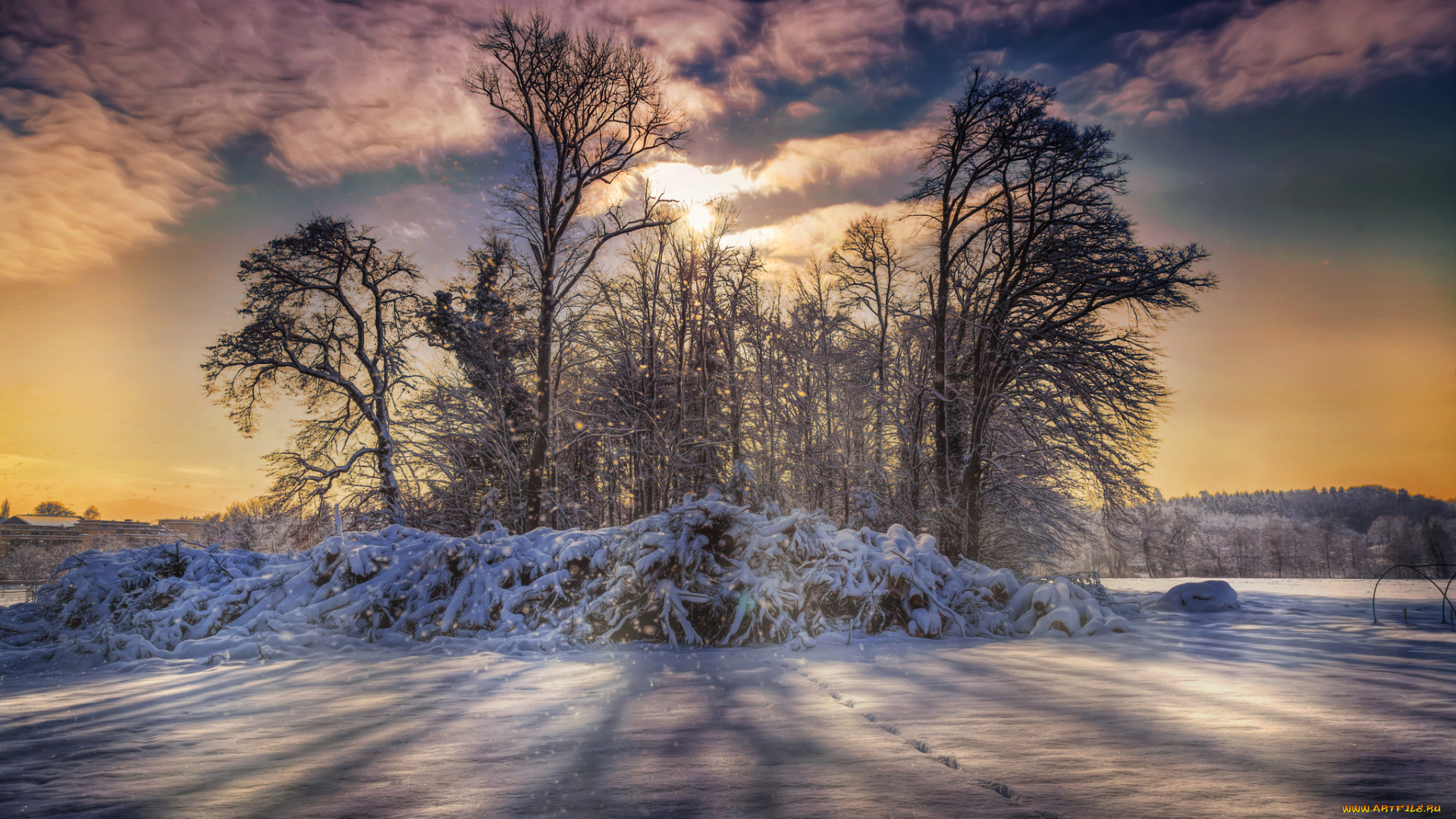 природа, зима, кусты, деревья, снег, поле