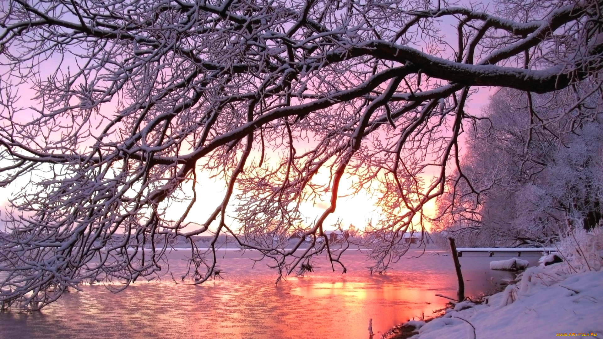 природа, зима, река, закат, дерево, снег