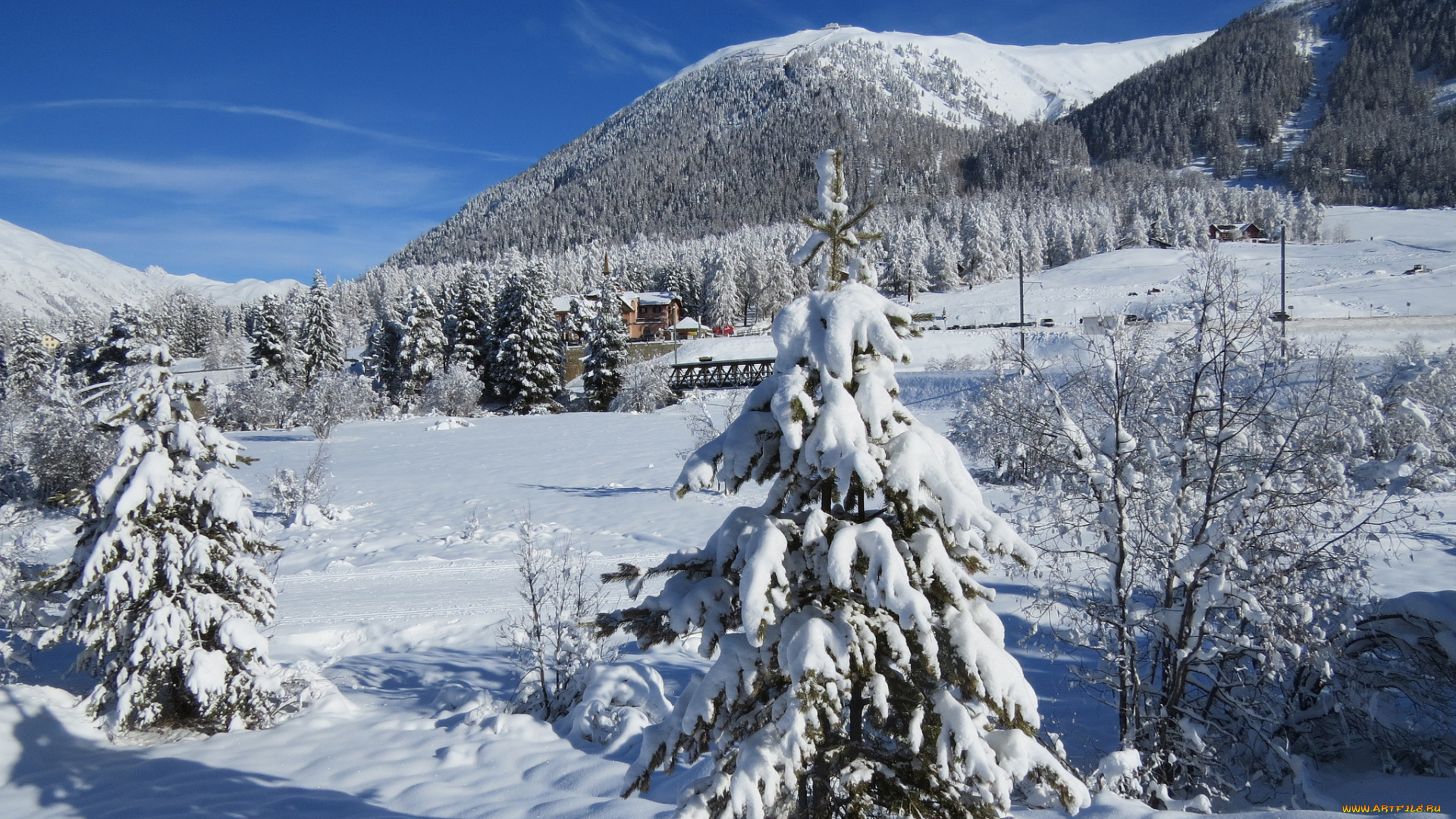 природа, зима, снег, ели, сугробы