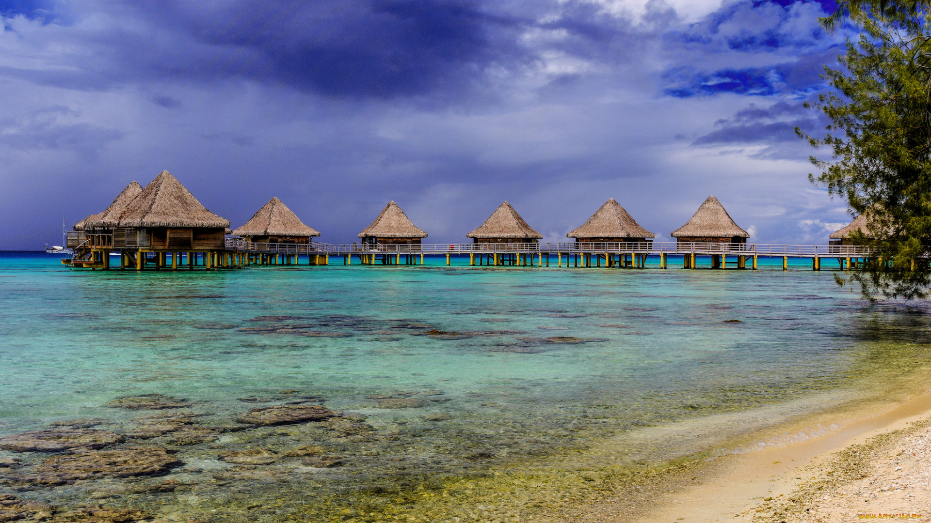 rangiroa, природа, тропики, океан, бунгало, острова