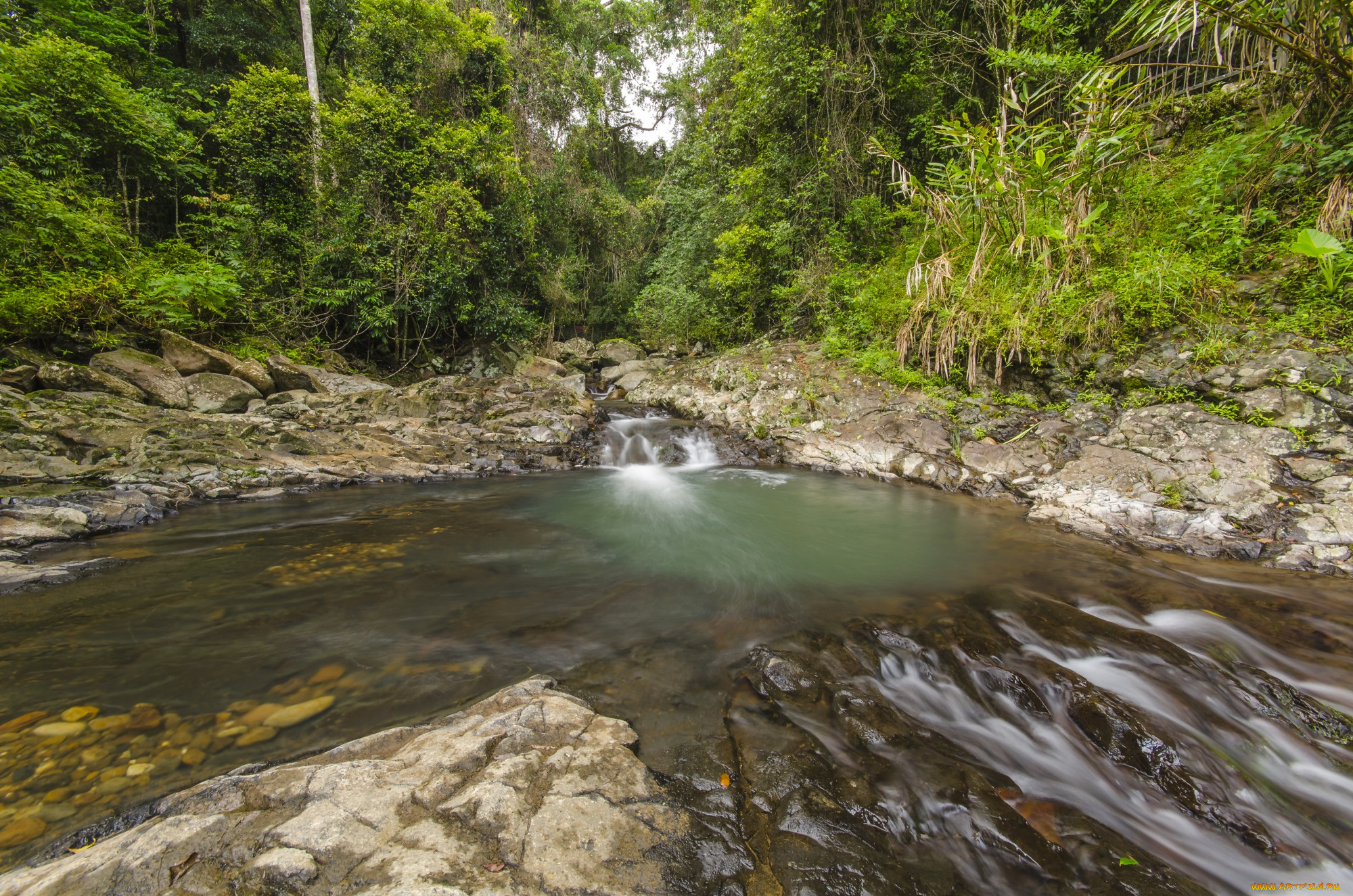 природа, реки, озера, река, лес