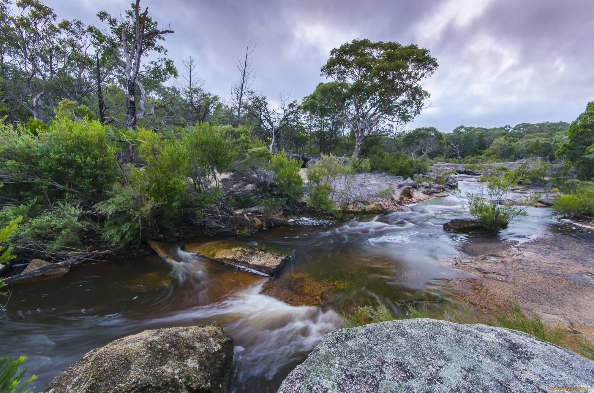природа, реки, озера, река, лес