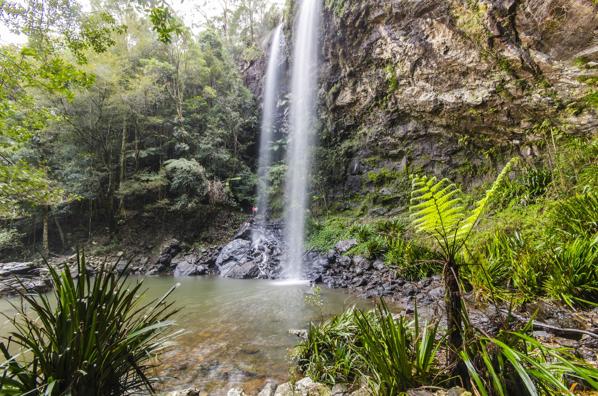 природа, водопады, водопад, лес, река