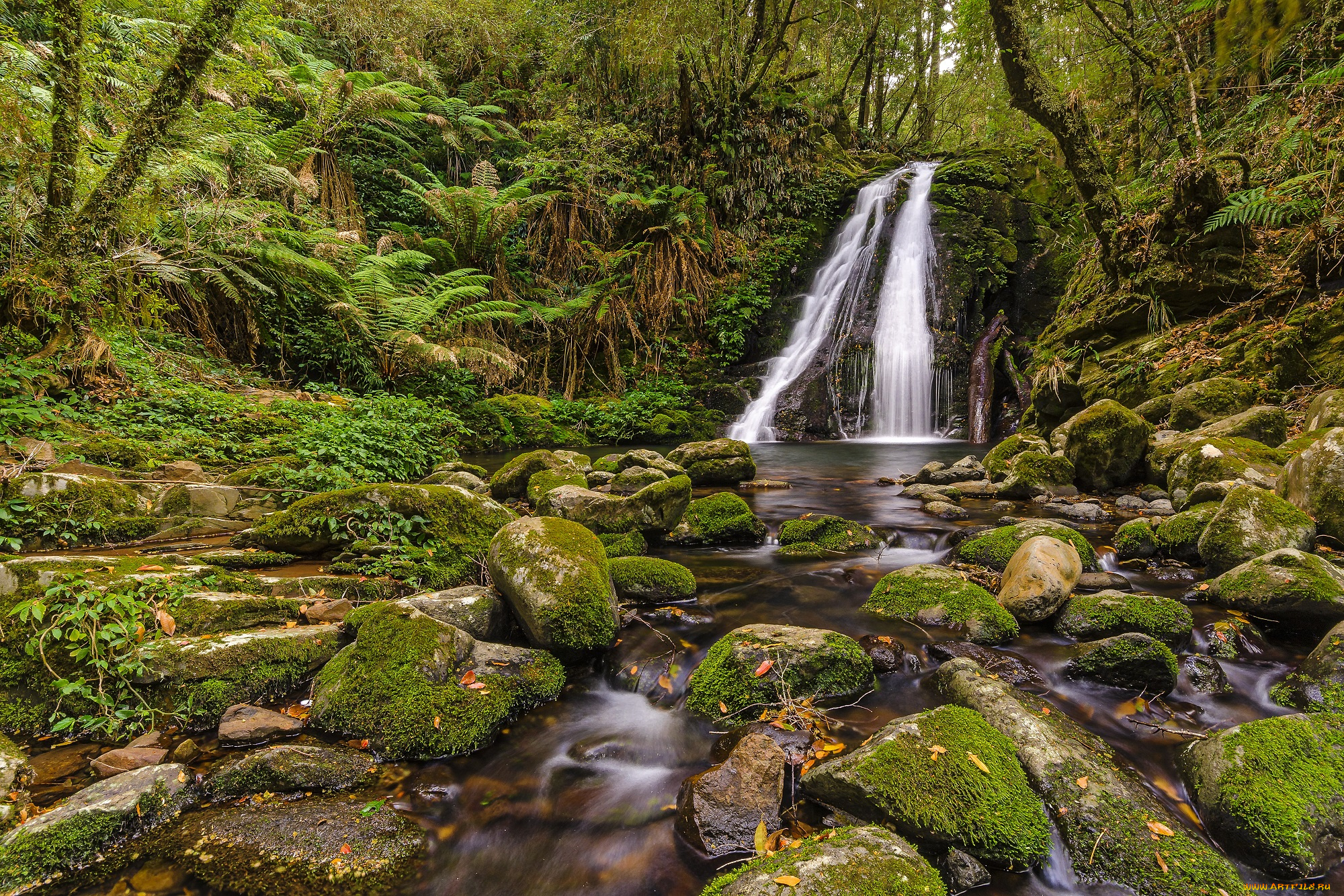 природа, водопады, водопад, река, лес