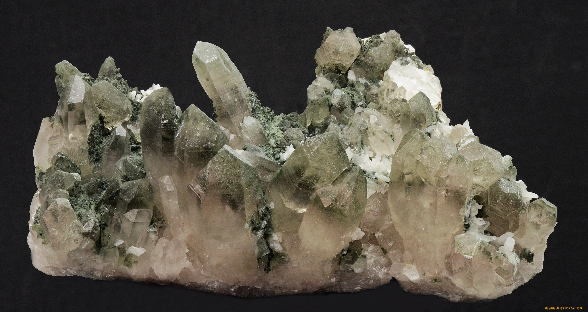 разное, ракушки, , кораллы, , декоративные, и, spa-камни, quartz