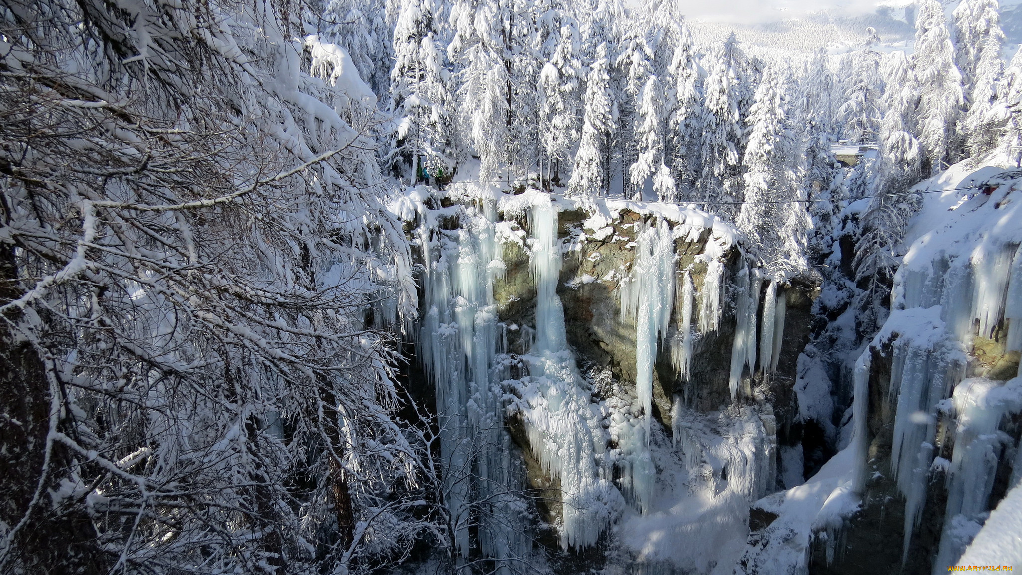 природа, зима, сугробы, снег, ели