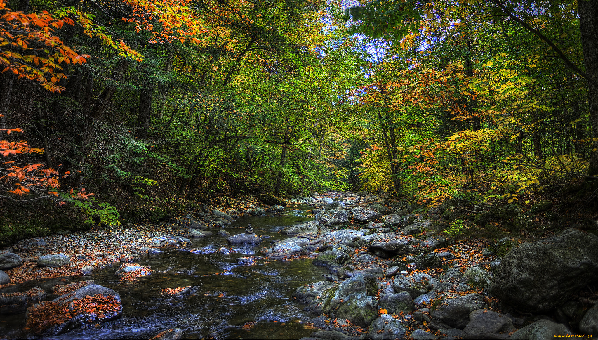 природа, реки, озера, река, лес