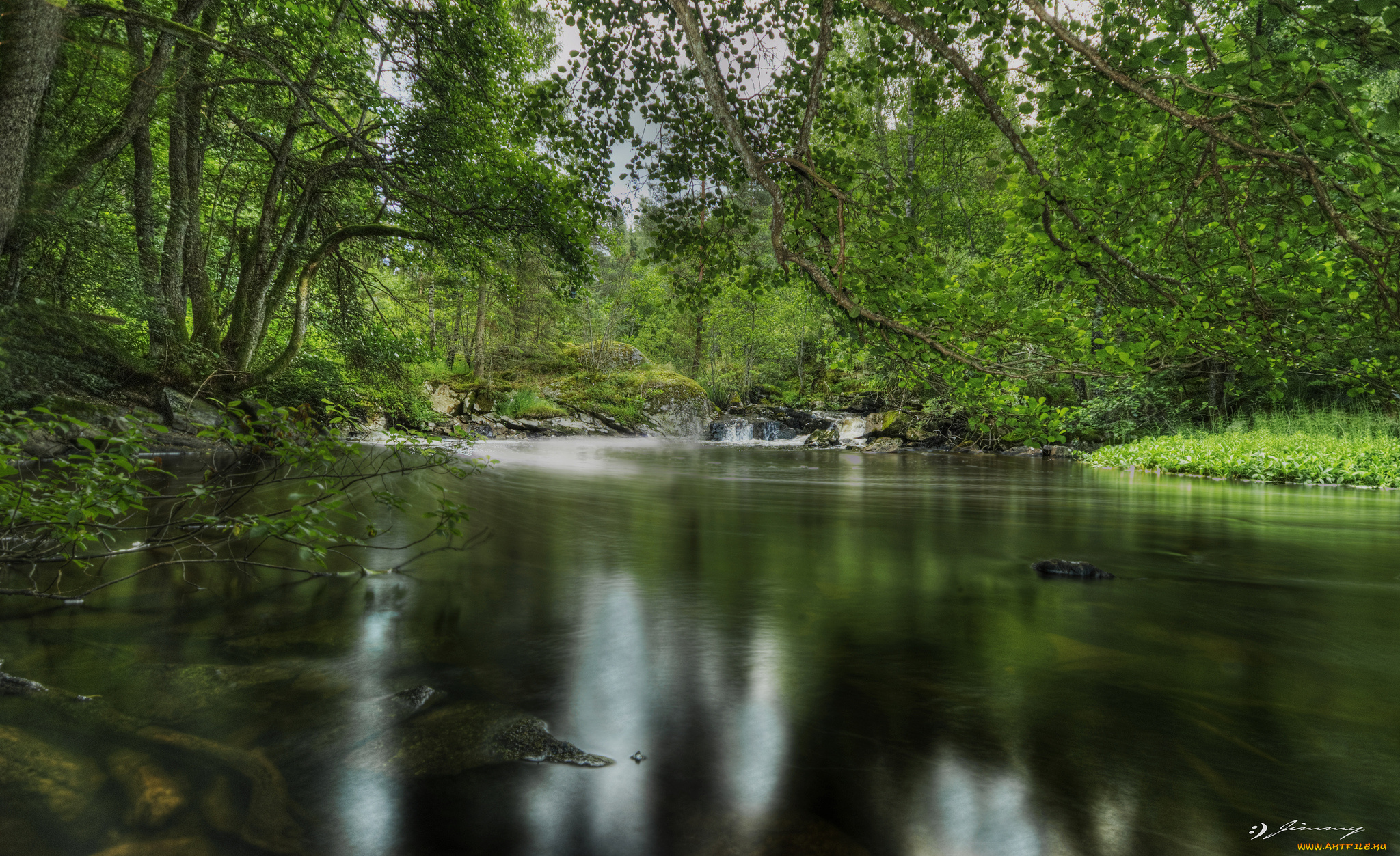 природа, реки, озера, деревья, озеро