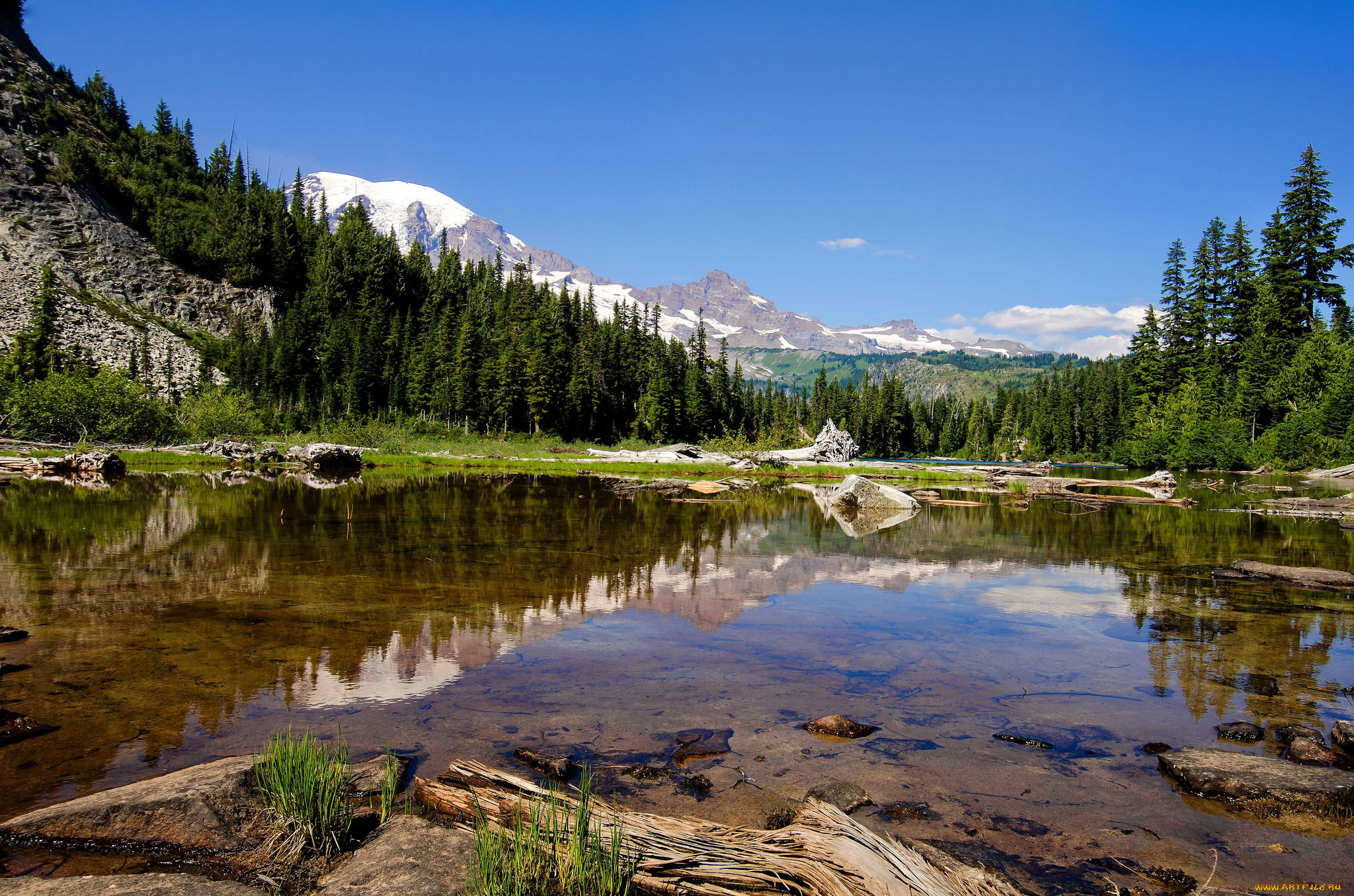 природа, реки, озера, река, лес