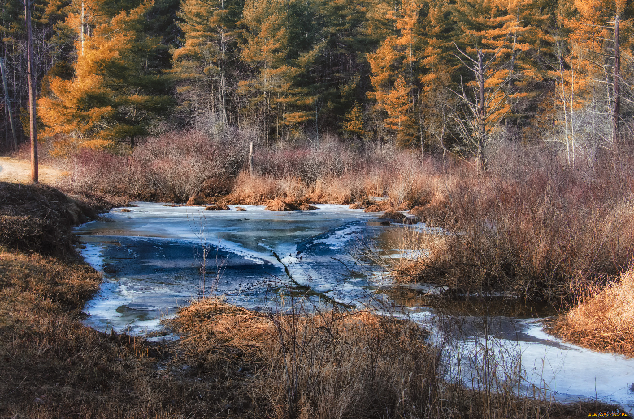 природа, реки, озера, река, лес