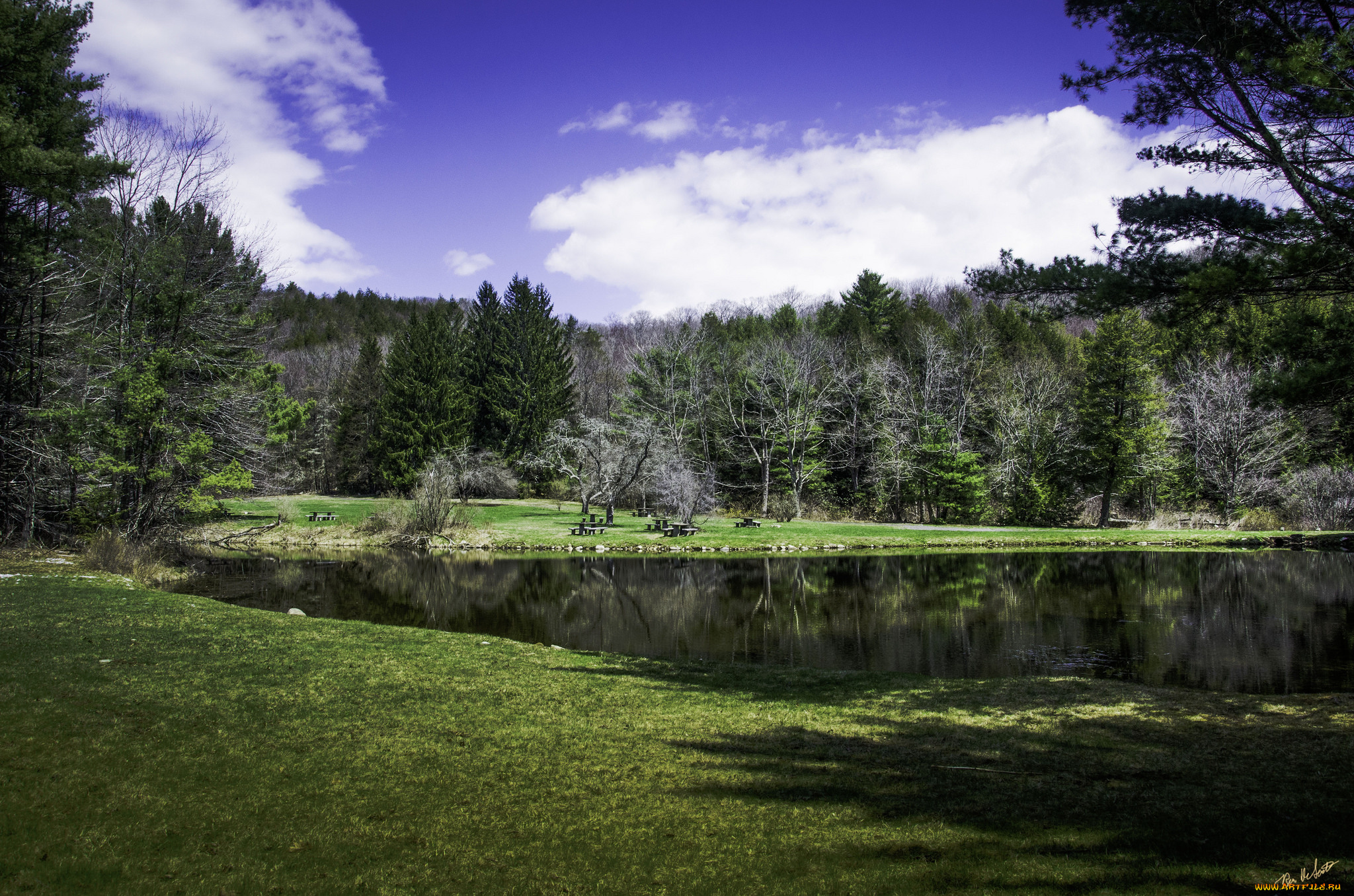 природа, реки, озера, река, лес