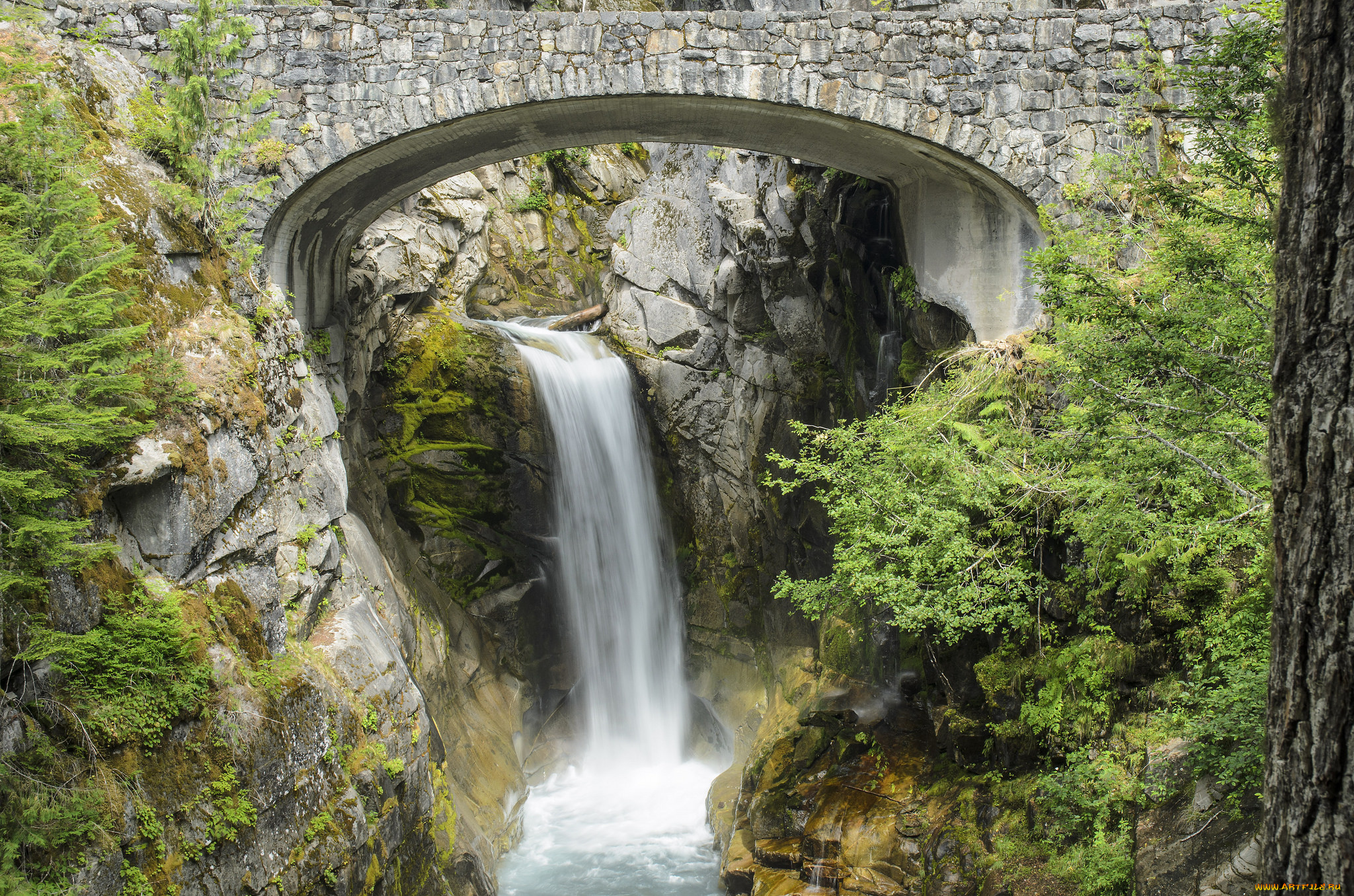 природа, водопады, река, водопад, лес