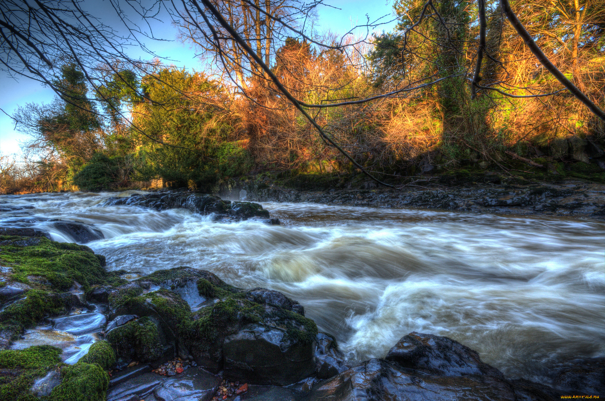 природа, реки, озера, река, лес