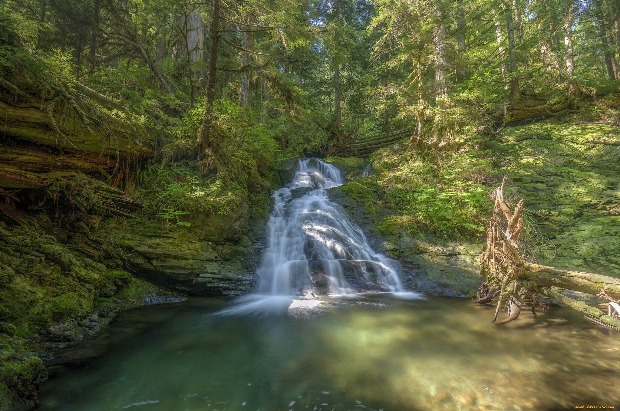 природа, водопады, лес, водопад, река