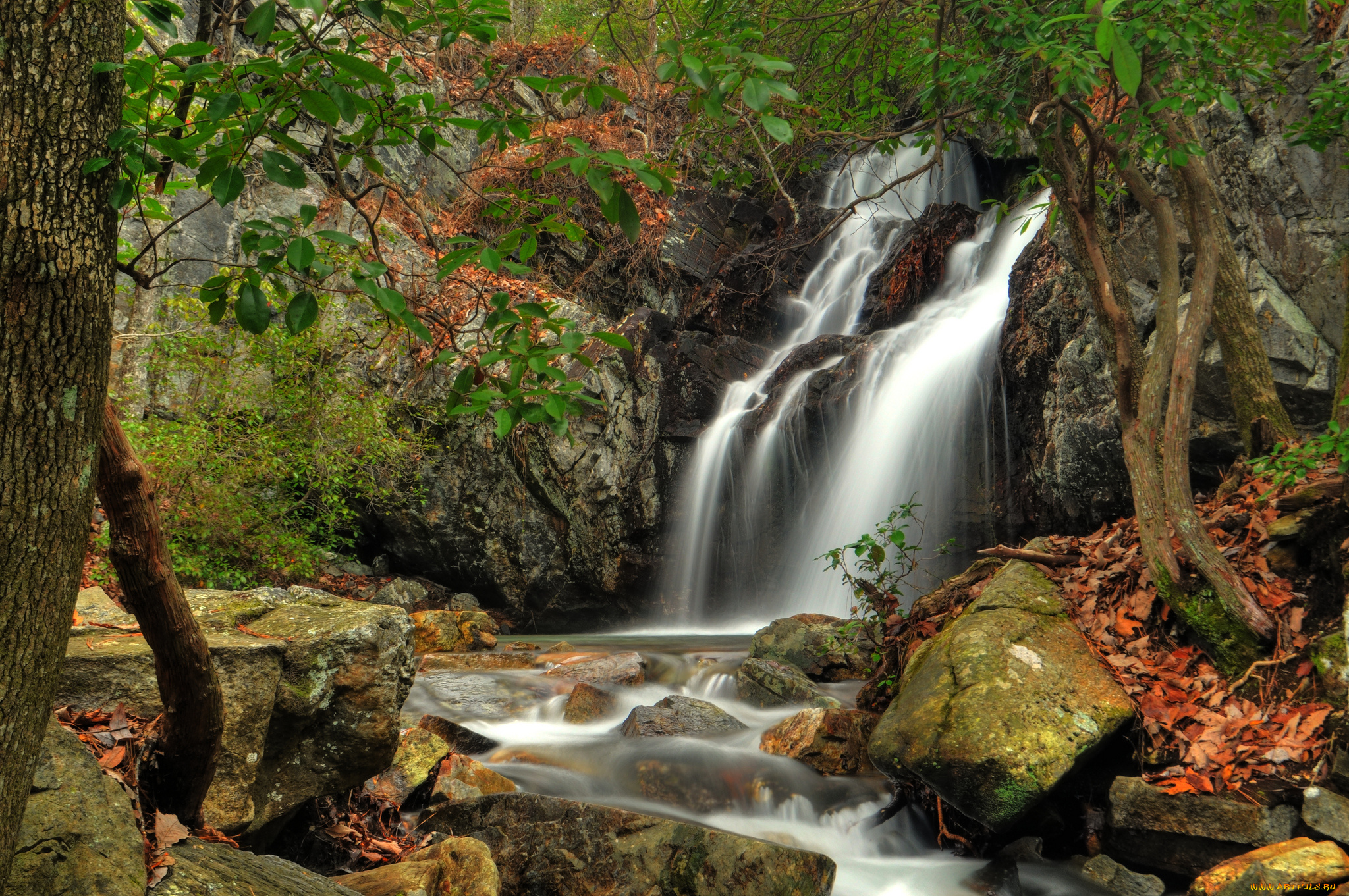 природа, водопады, река, водопад, лес