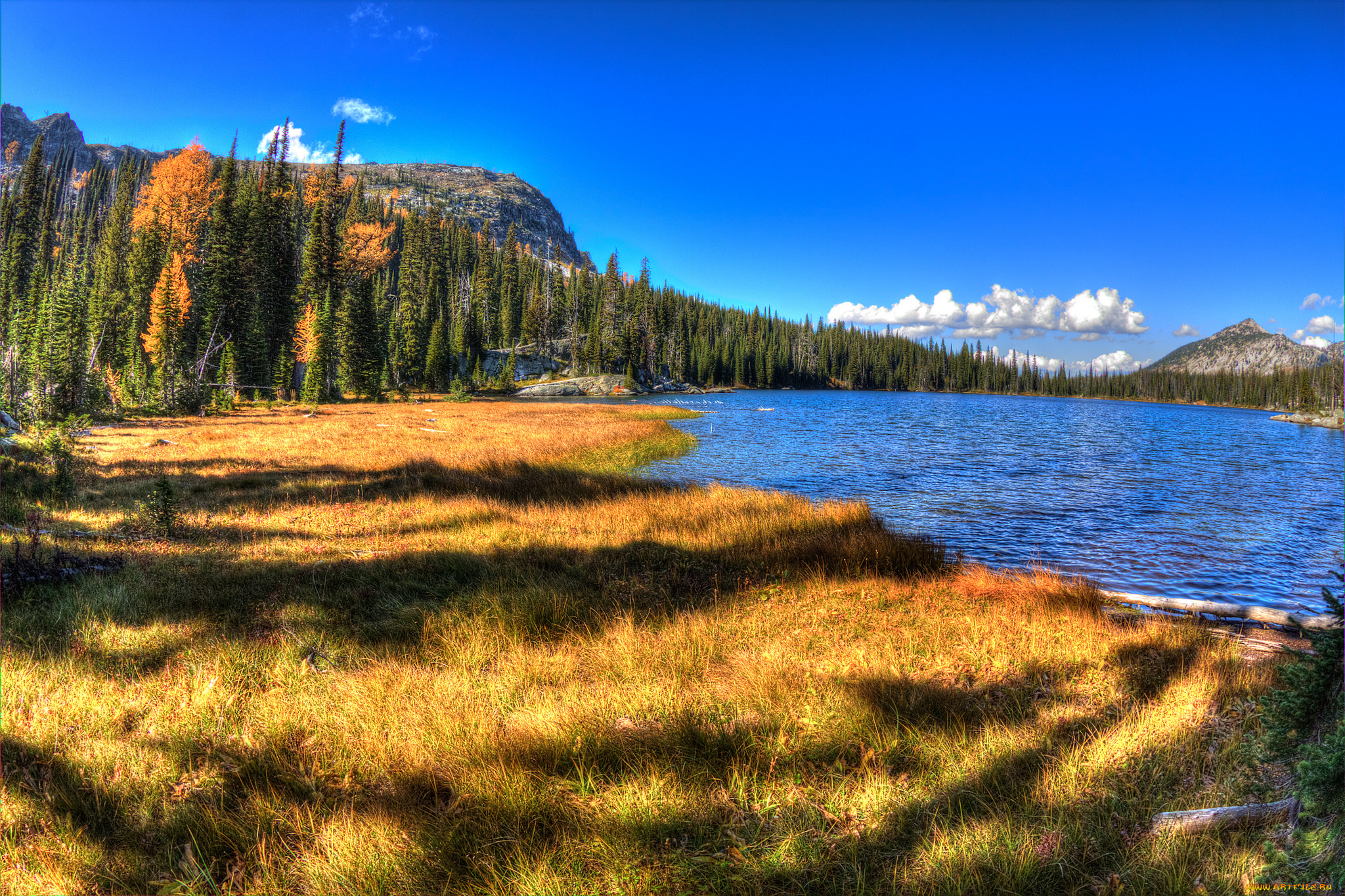 природа, реки, озера, река, горы, лес