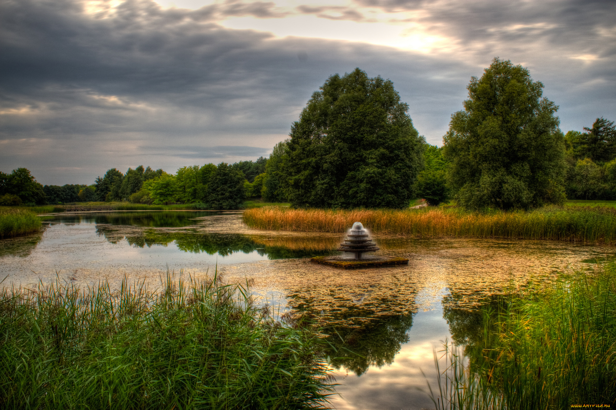 природа, реки, озера, река, лес