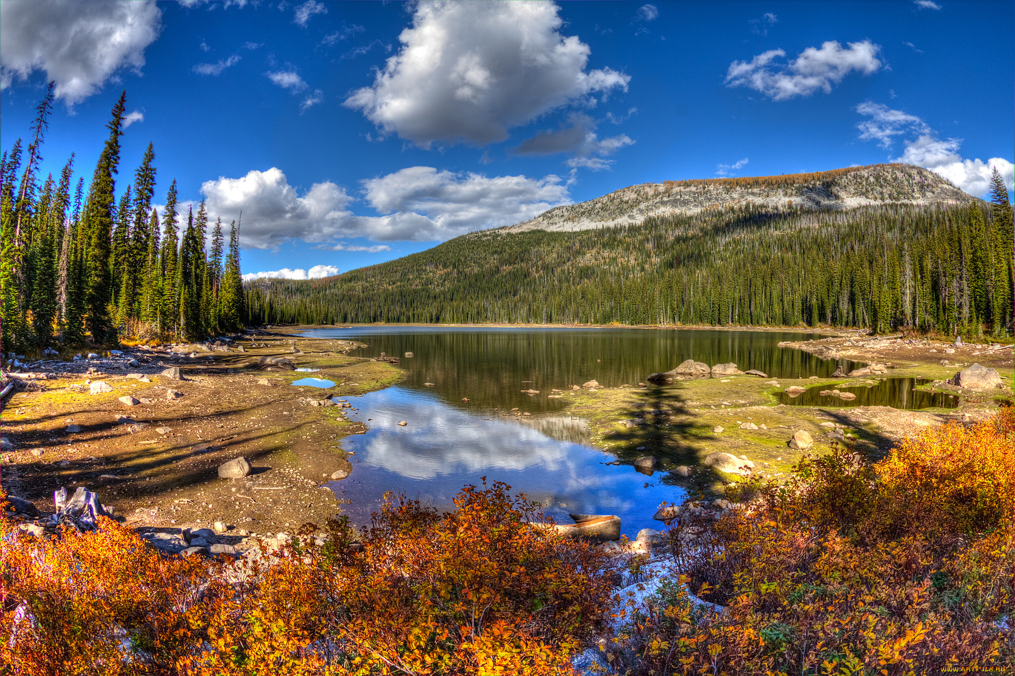 природа, реки, озера, река, лес, горы