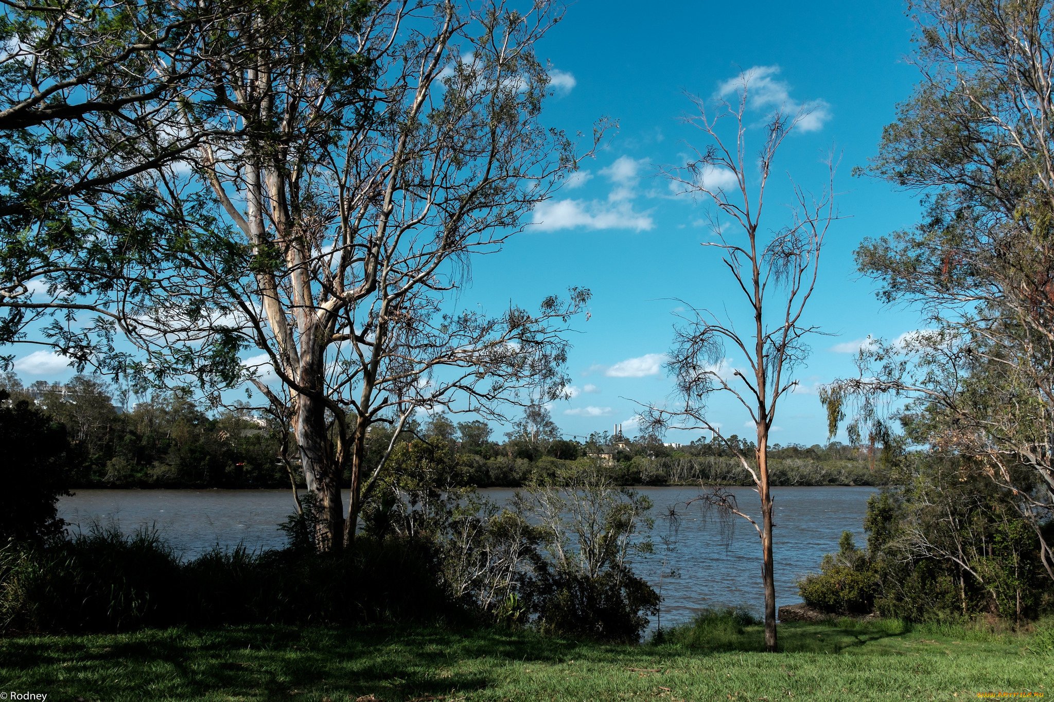 природа, реки, озера, деревья, река, небо