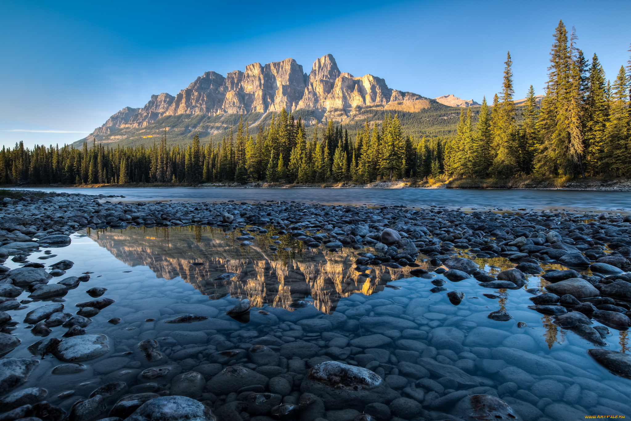 природа, реки, озера, река, лес