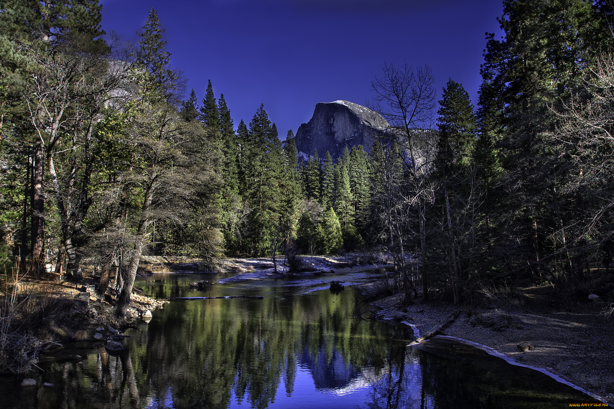 природа, реки, озера, река, лес