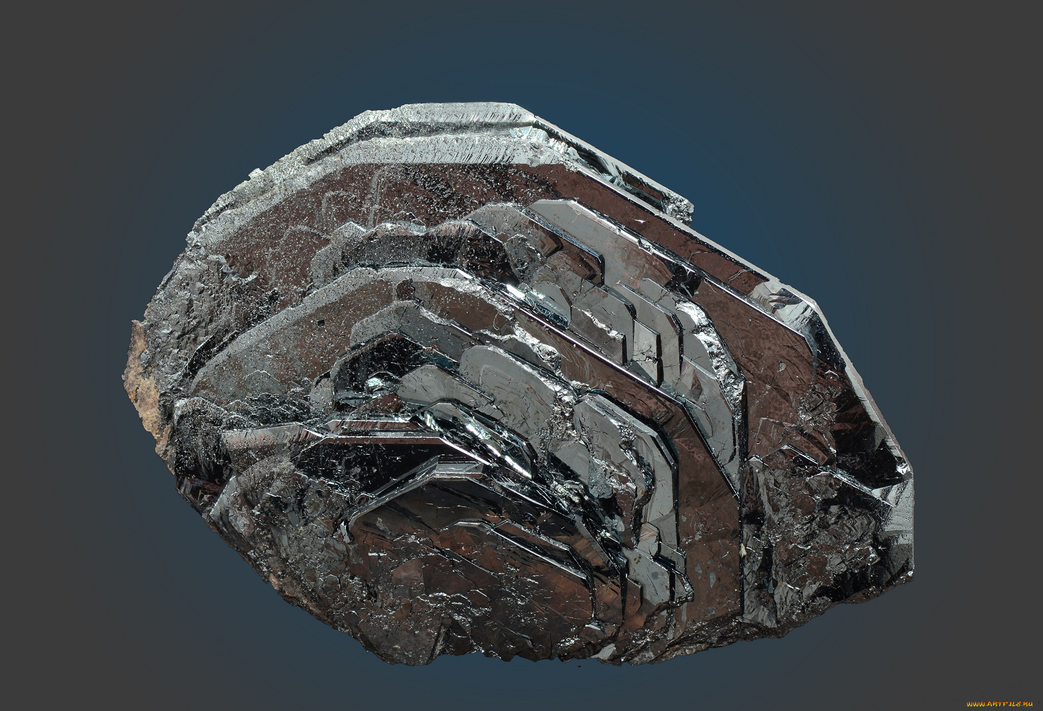 разное, ракушки, , кораллы, , декоративные, и, spa-камни, кристалл, самородок, камень, hematite