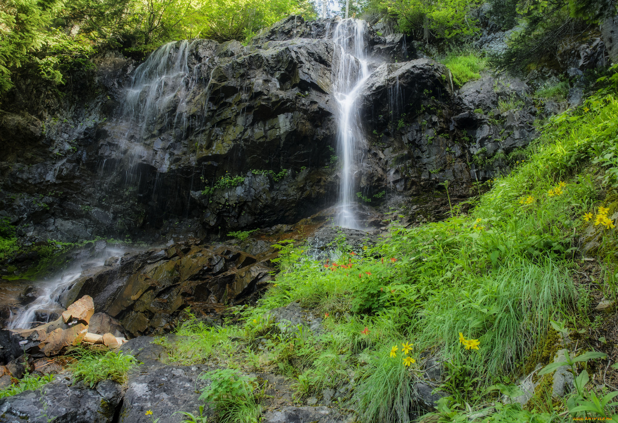 природа, водопады, река, водопад, лес