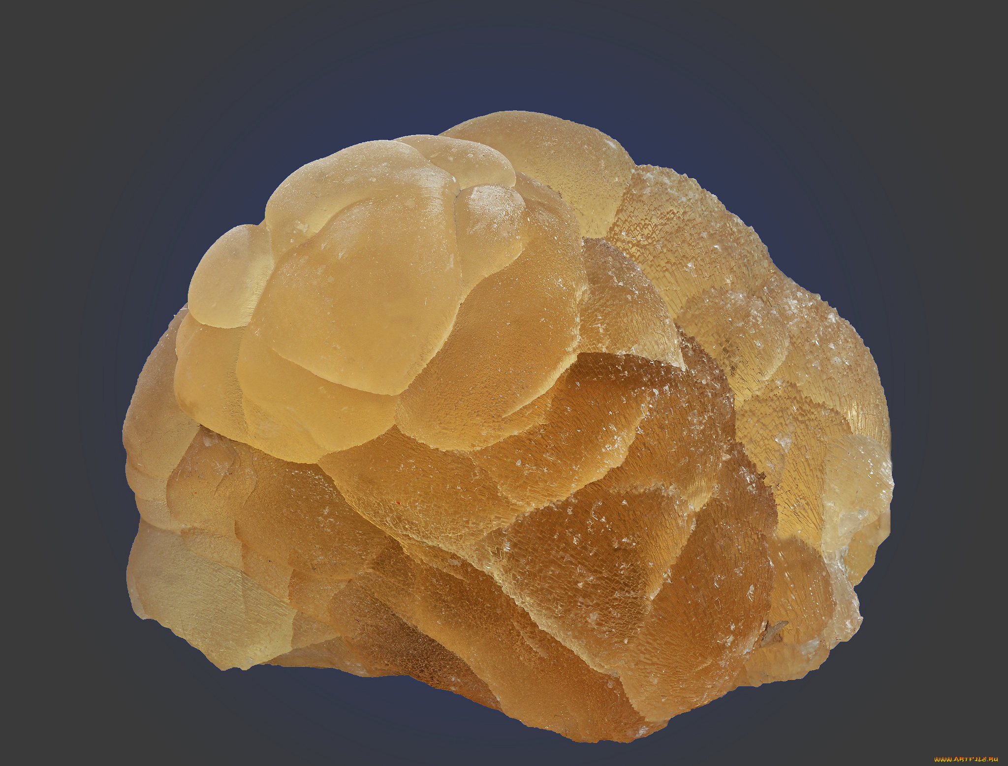 разное, ракушки, , кораллы, , декоративные, и, spa-камни, жёлтый, камень, calcite