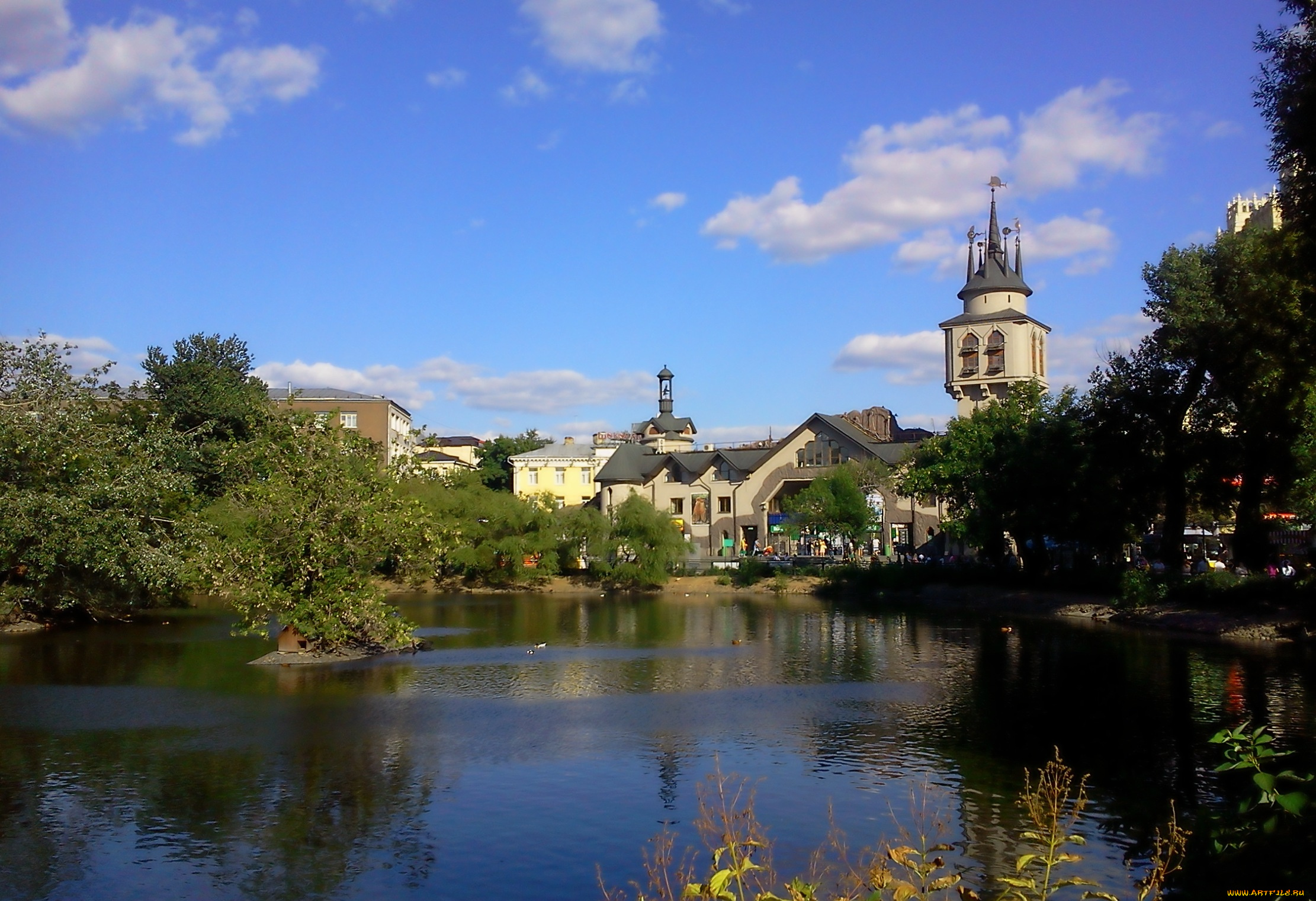 московский, зоопарк, природа, парк, москва, лето, город, пруд, зоопарк