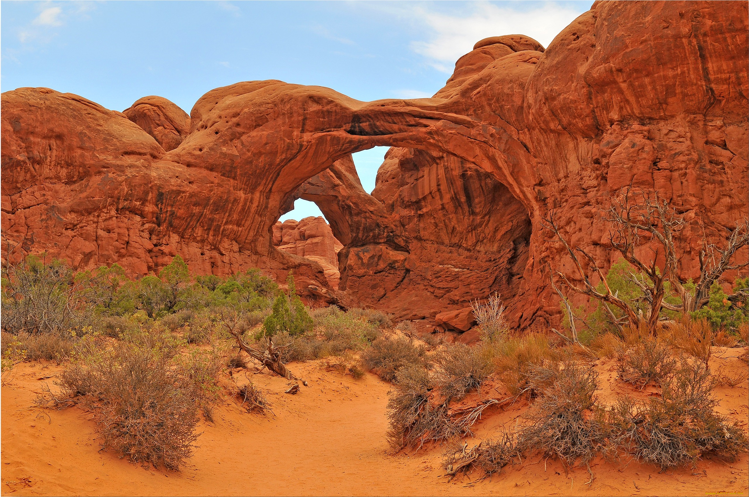 природа, горы, небо, арка, скалы, кусты, сша, uta, arches, national, park, деревья