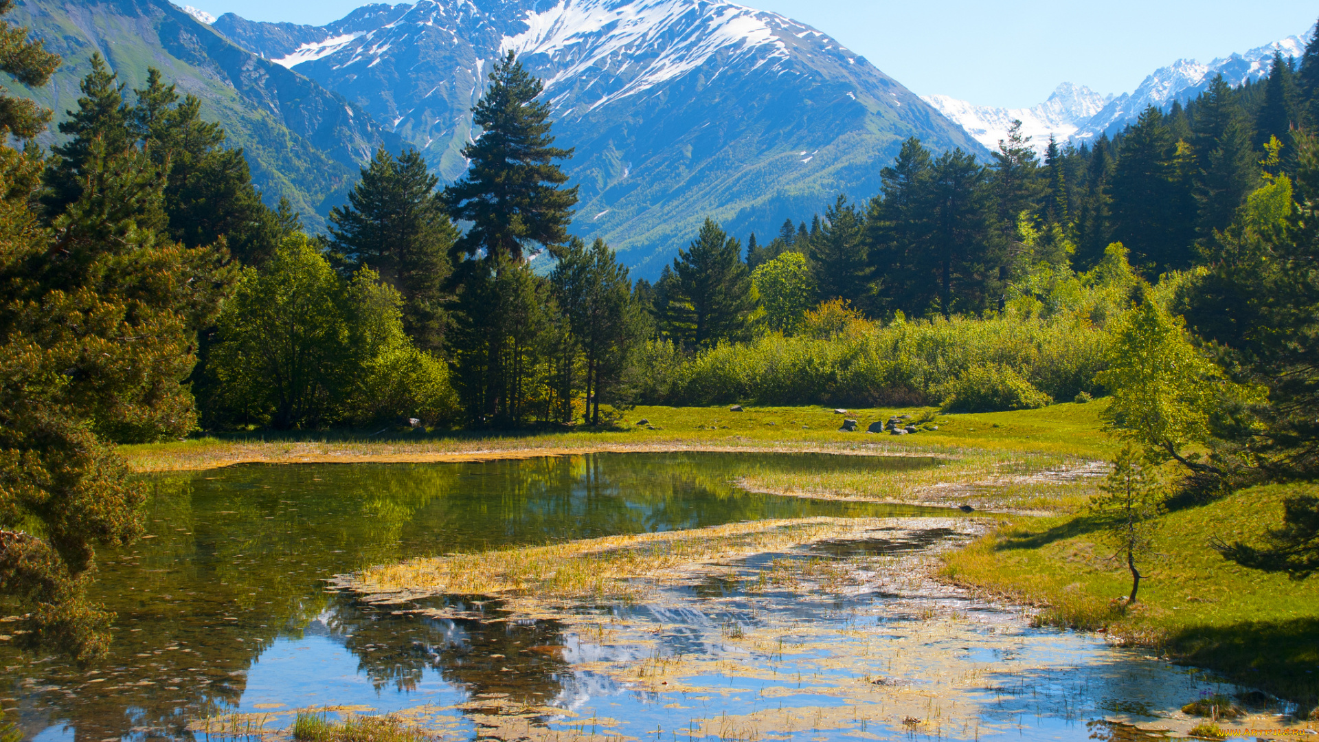 природа, пейзажи, деревья, горы, небо, грузия, вода, трава