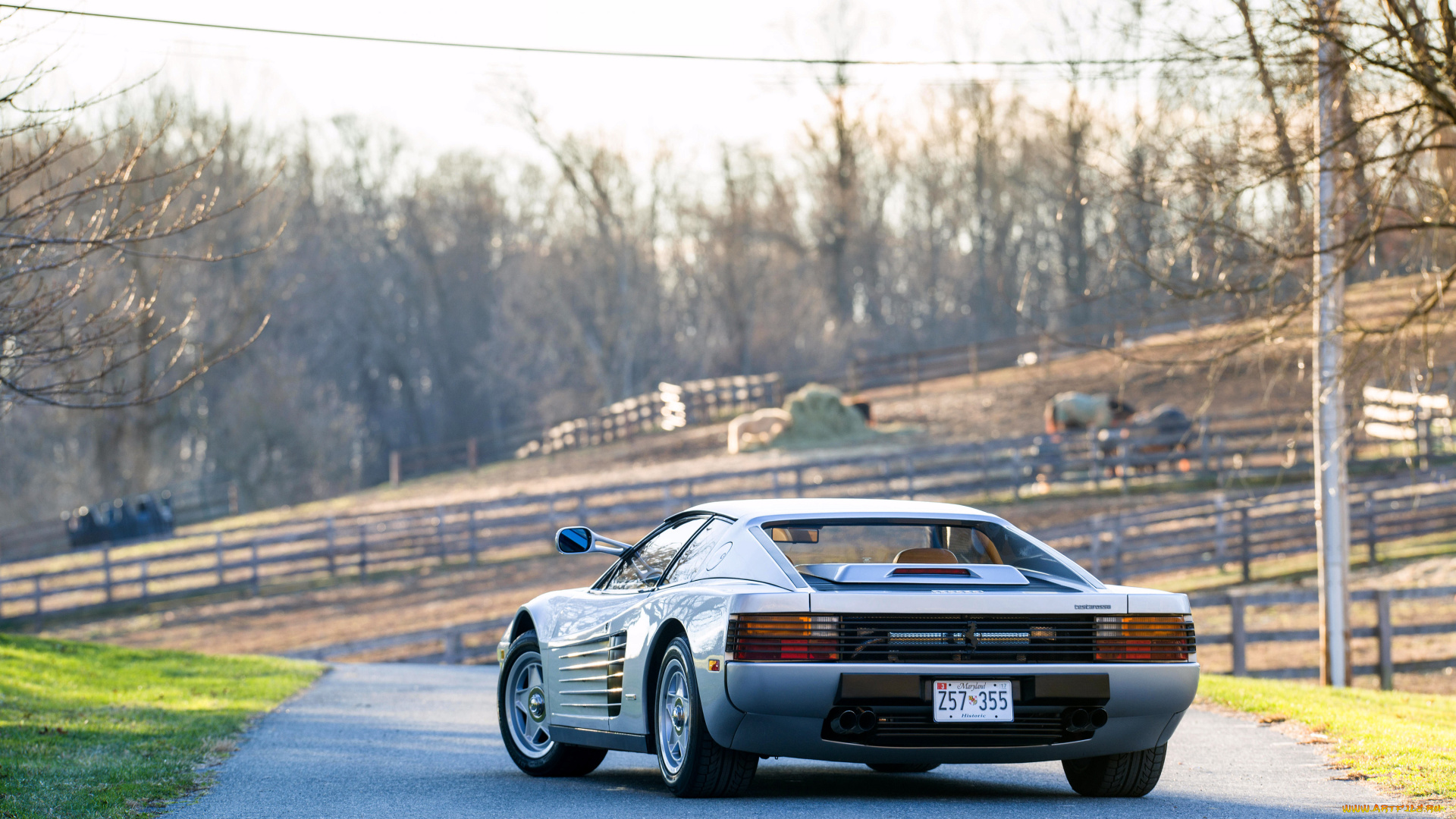 testarossa, автомобили, ferrari