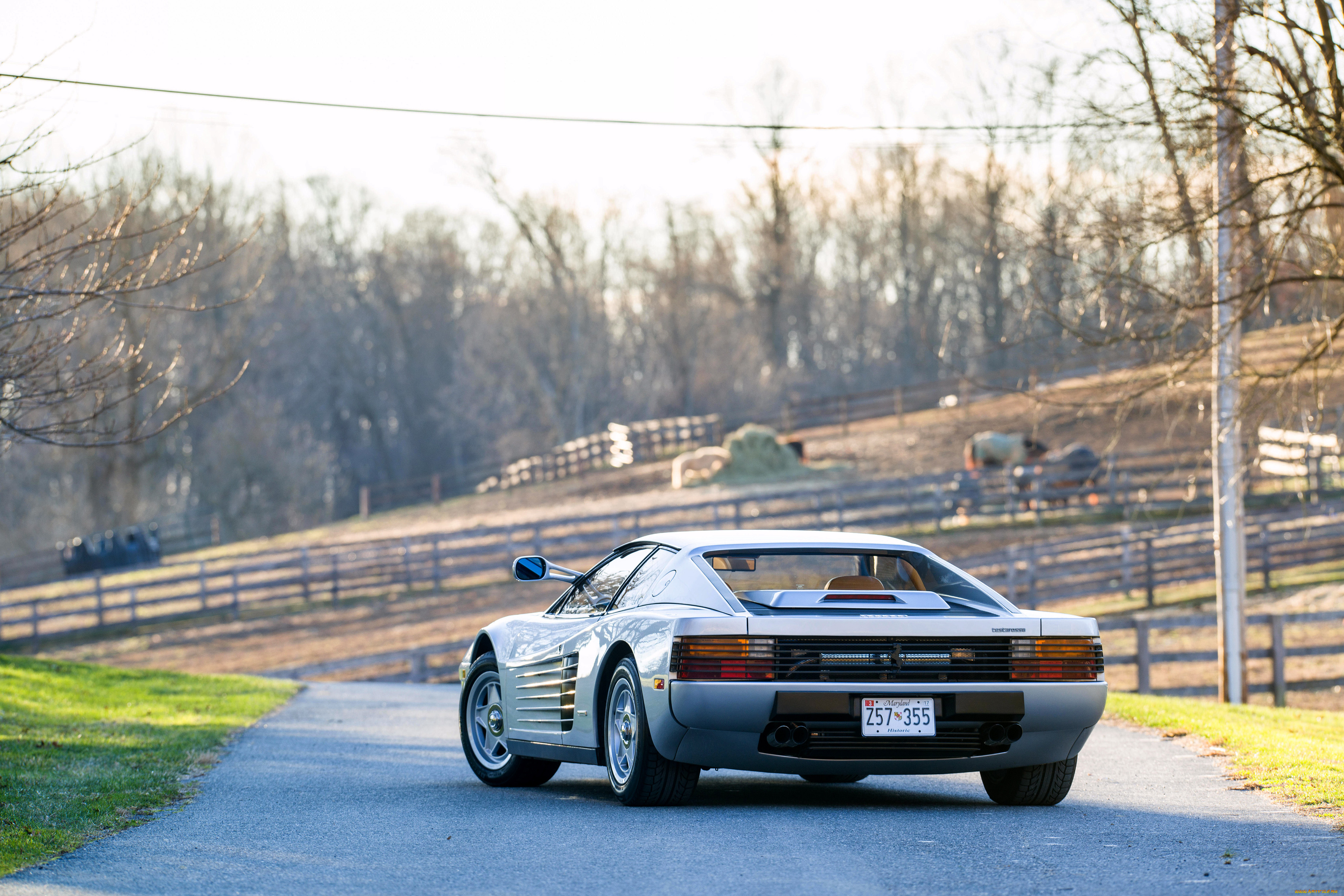 testarossa, автомобили, ferrari