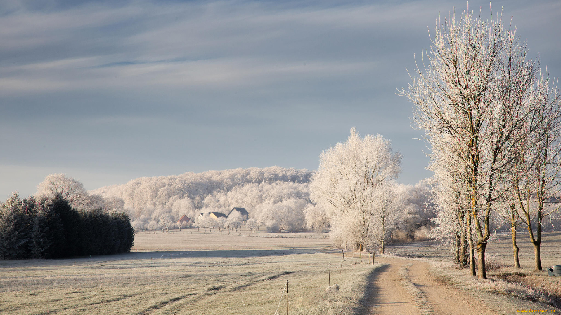 природа, дороги, дорога, деревья, иней