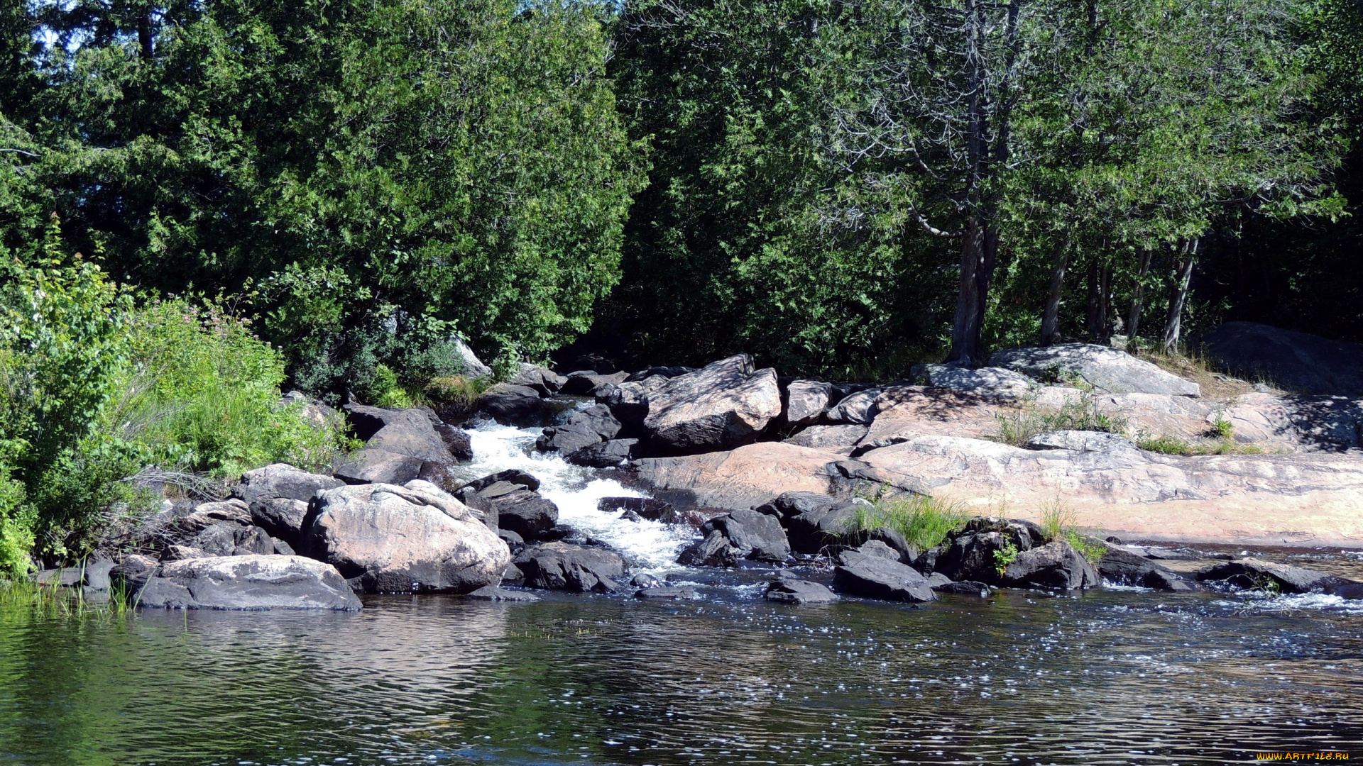 природа, реки, озера, камни, деревья, река