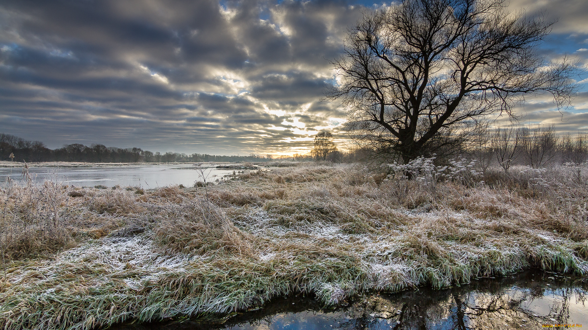 природа, реки, озера, река, лес