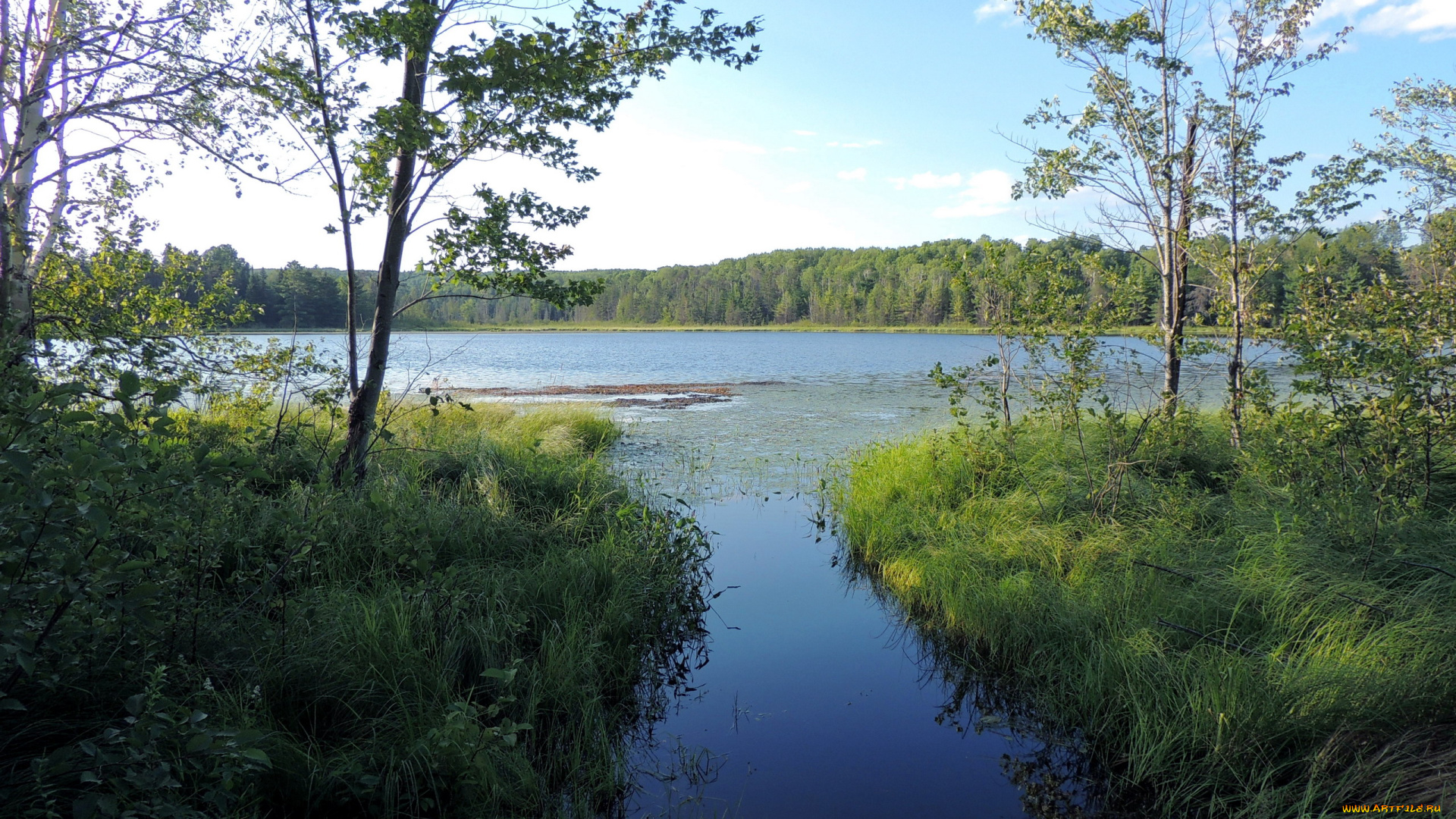 природа, реки, озера, трава, лето, река