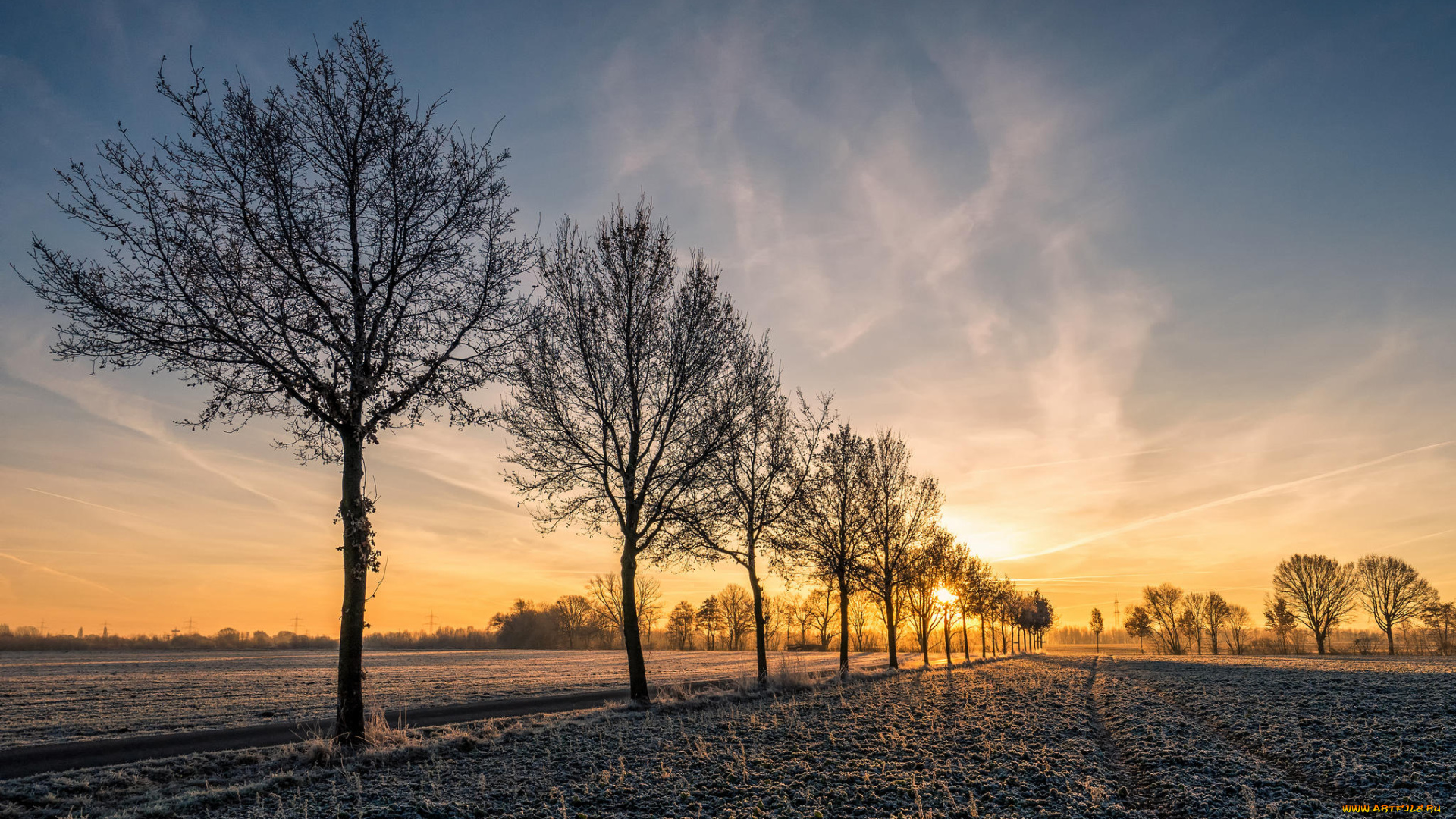 природа, восходы, закаты, закат, иней, деревья